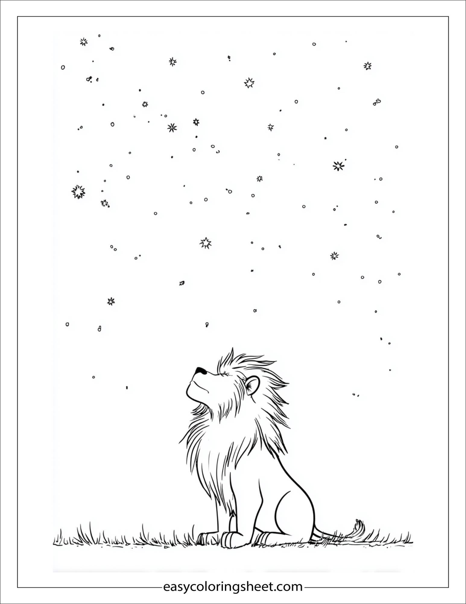 The Brave Lion looking at stars