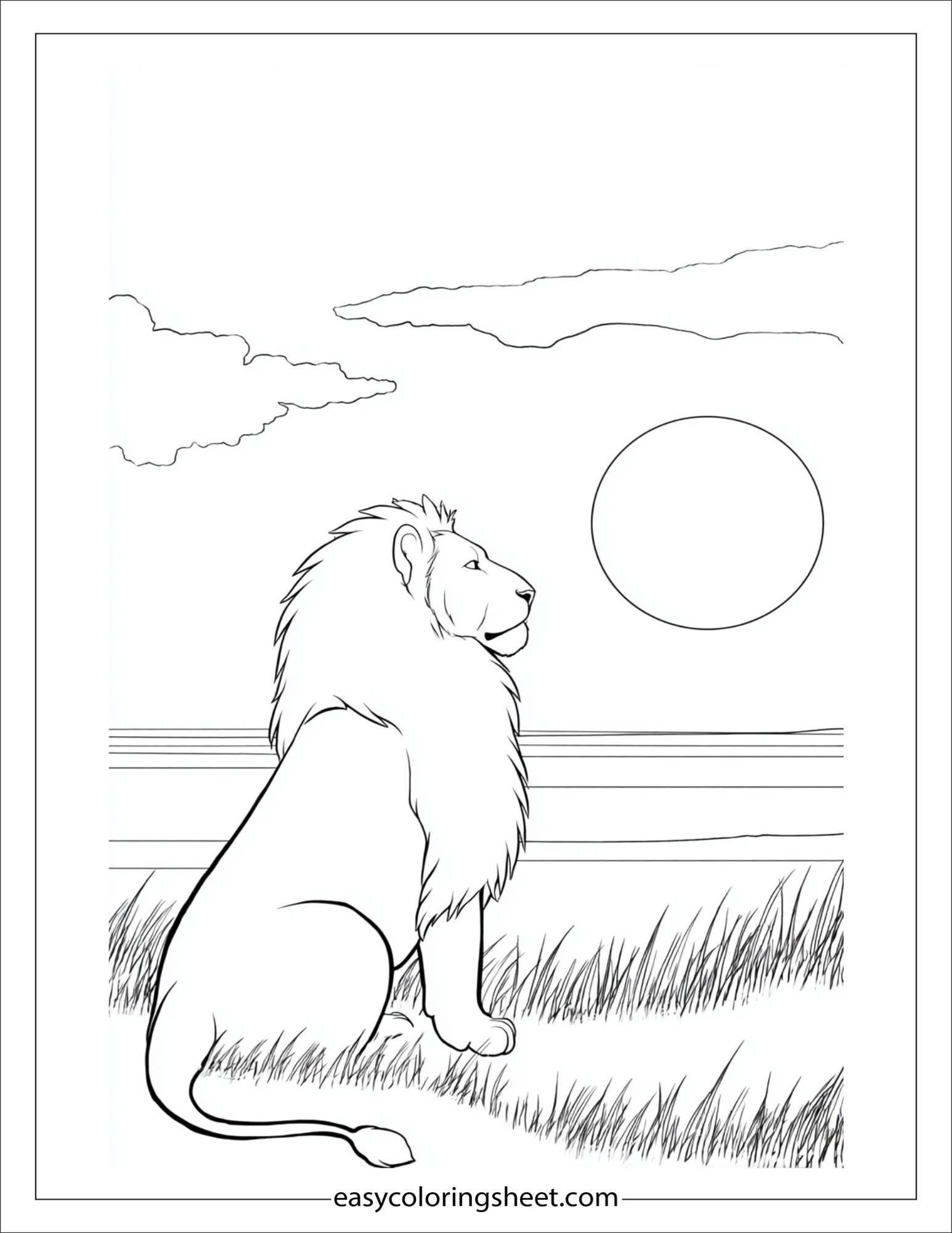 The Brave Lion watching sunset