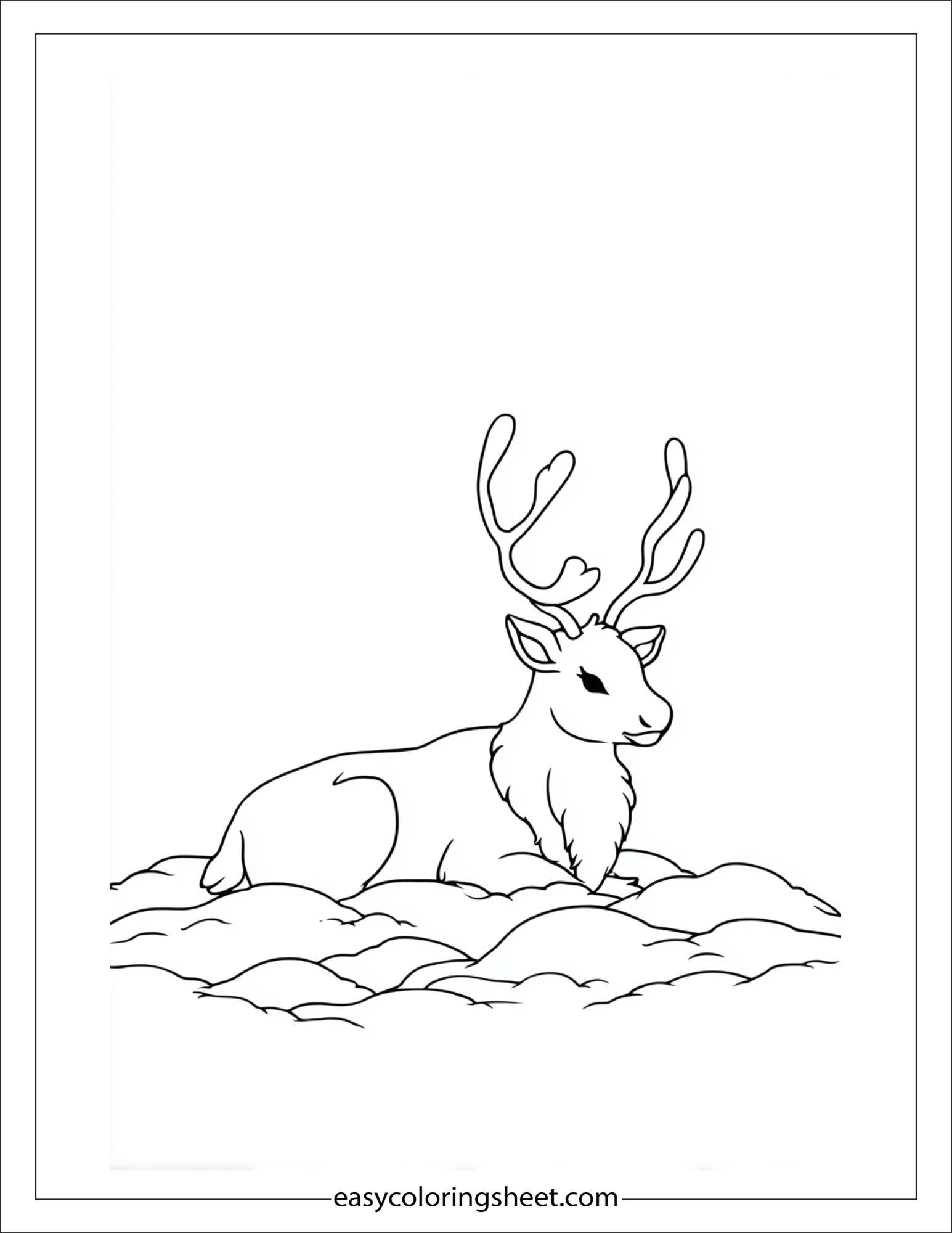 The Reindeer curling up in snow