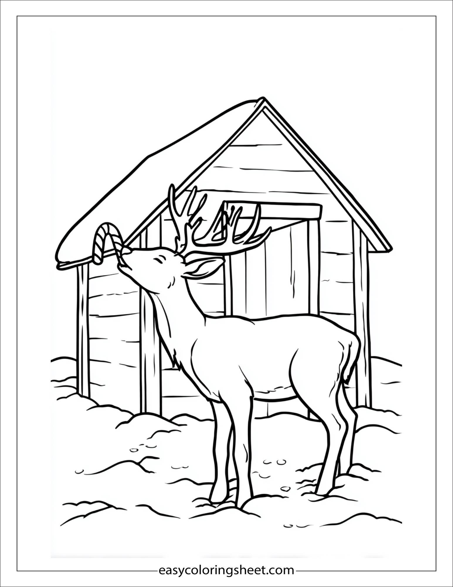 The Reindeer licking a candy cane