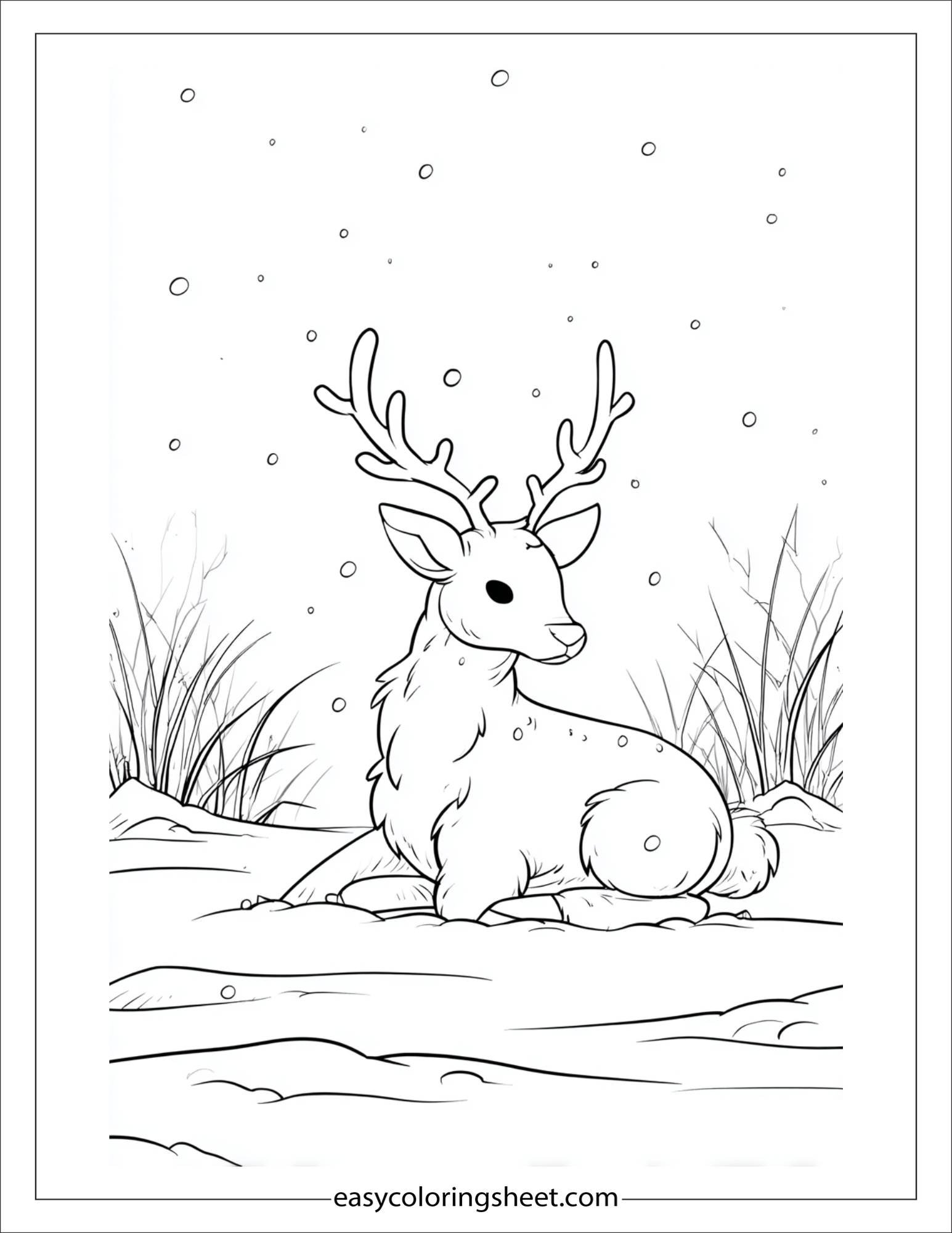 The Reindeer sitting cutely