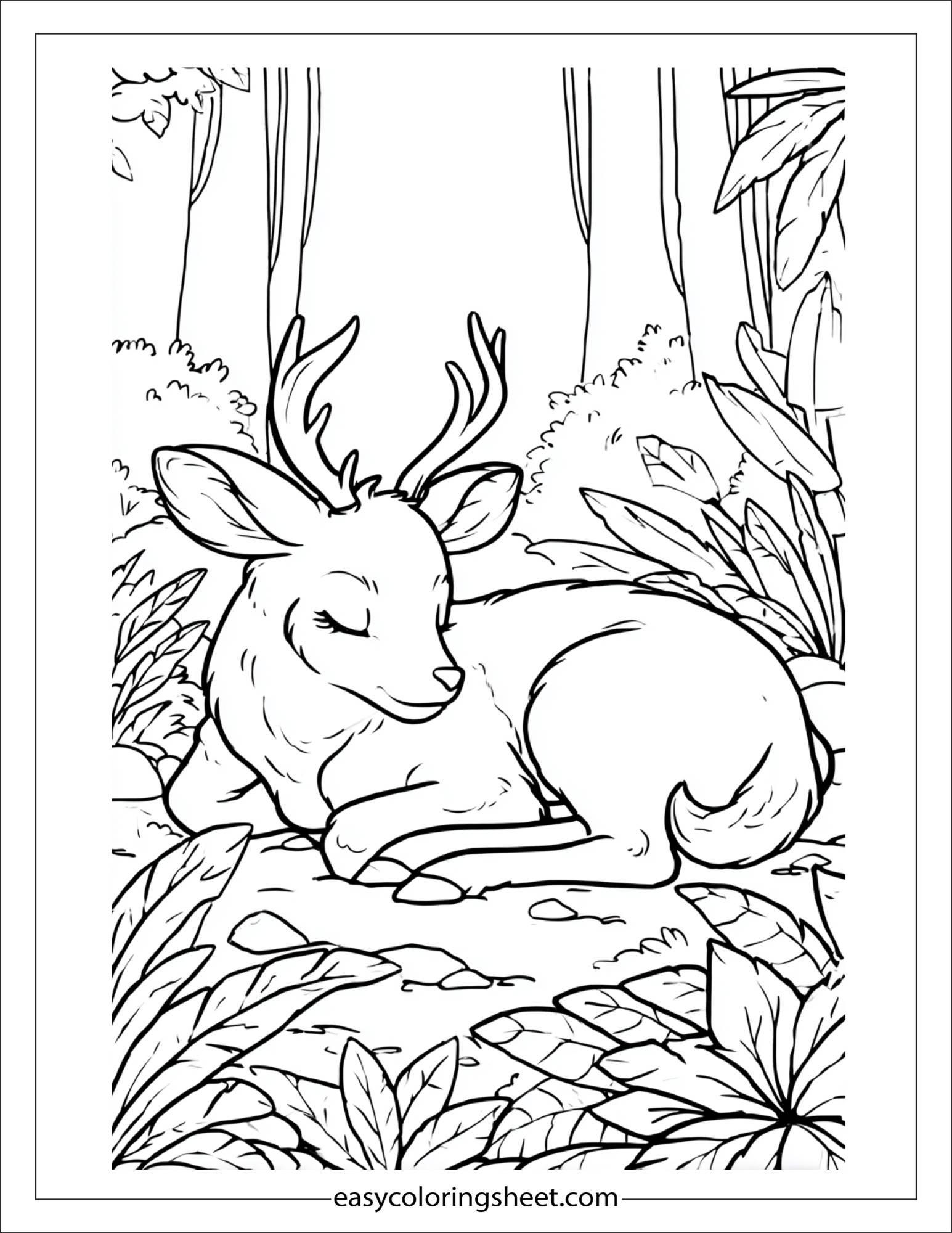 The Reindeer sleeping peacefully