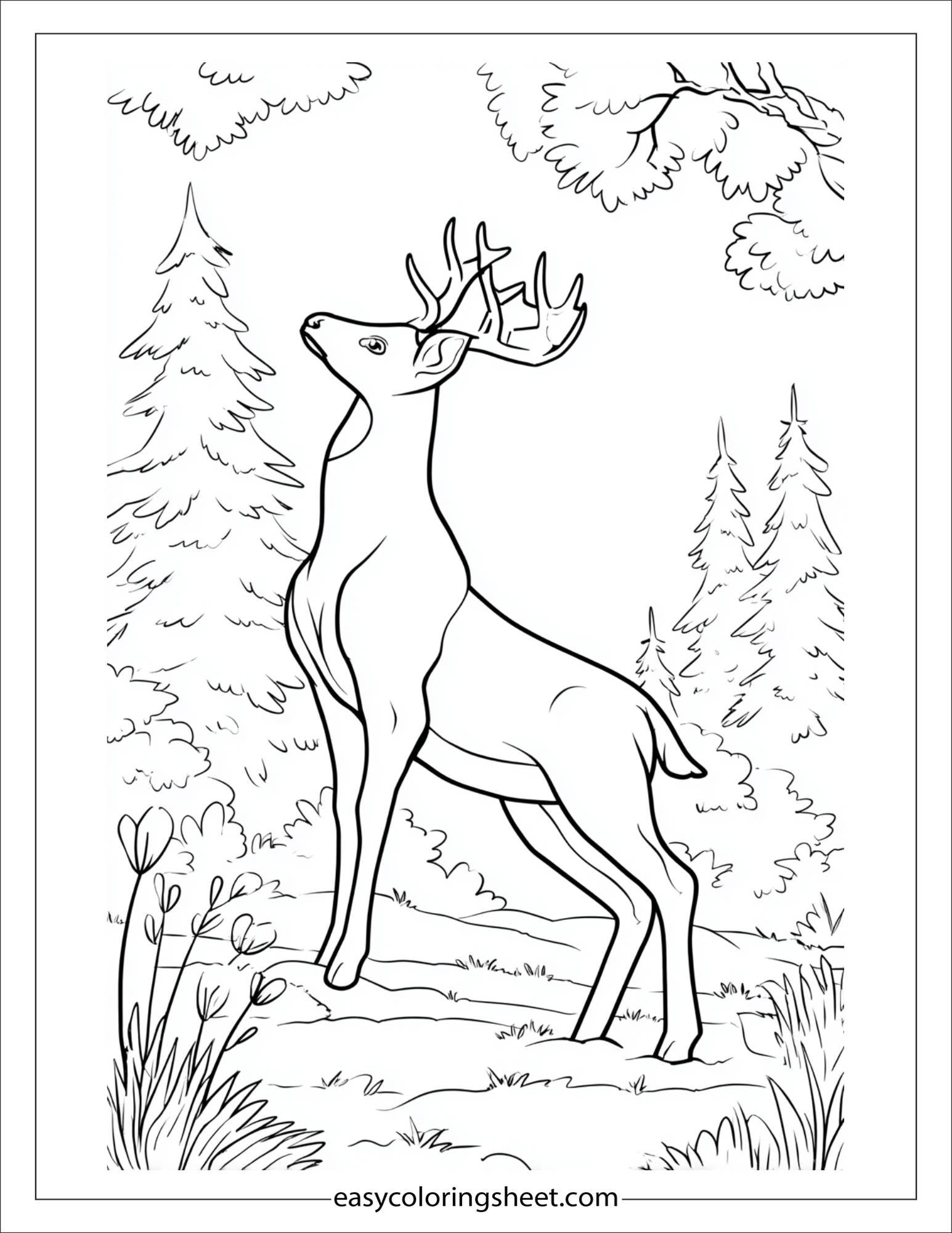 The Reindeer standing on hind legs