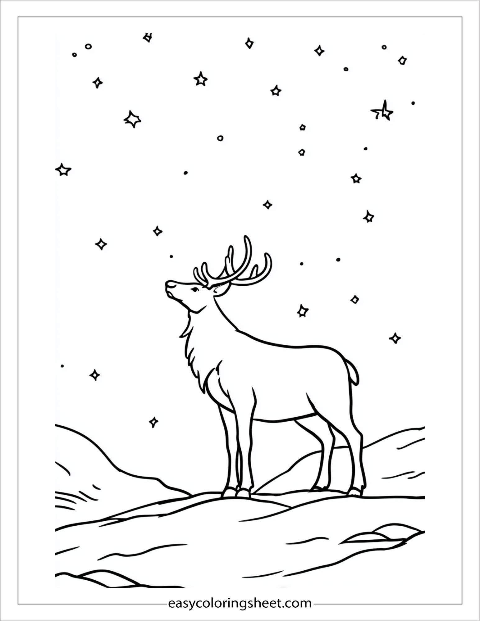 The Reindeer watching the stars