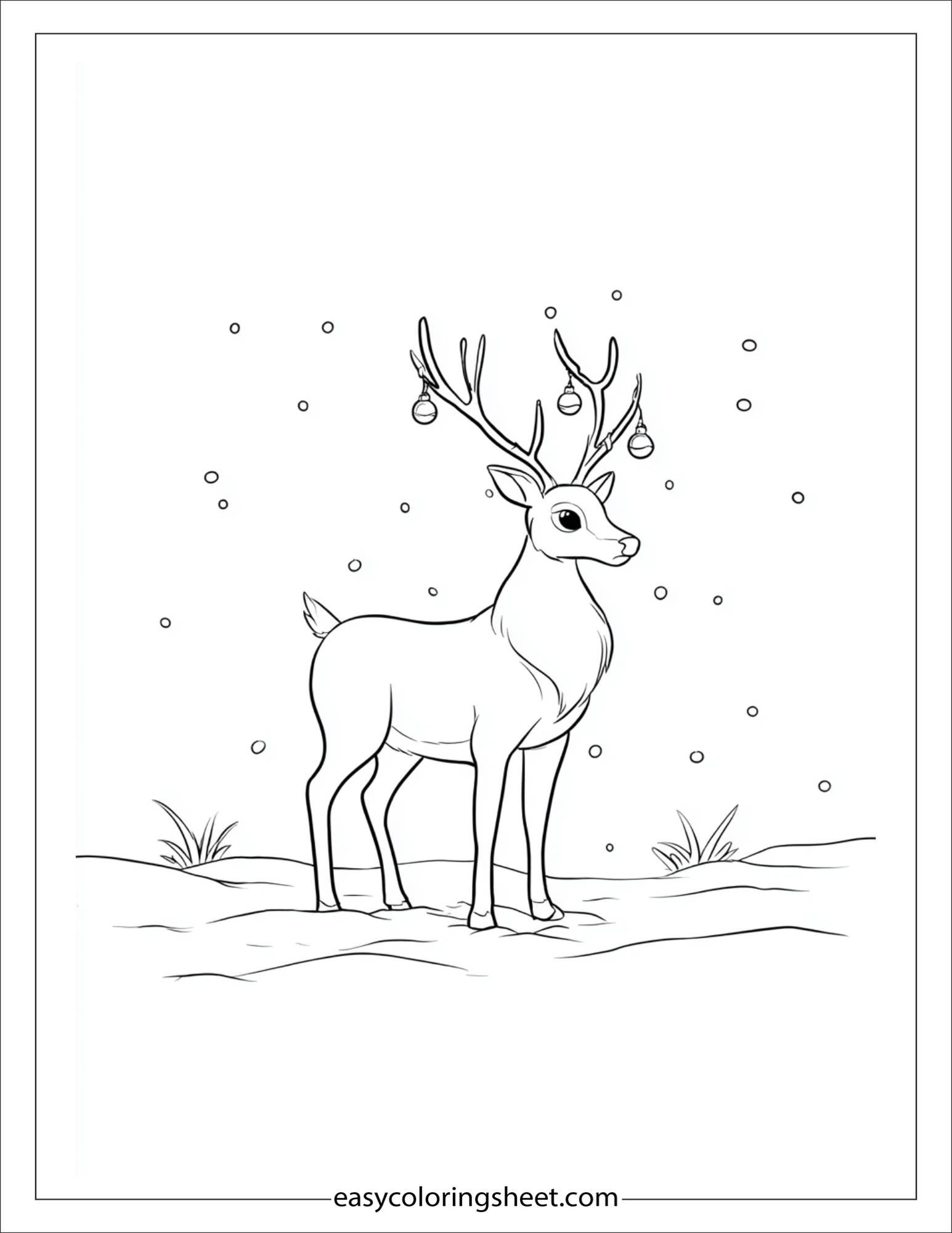 The Reindeer wearing jingle bells