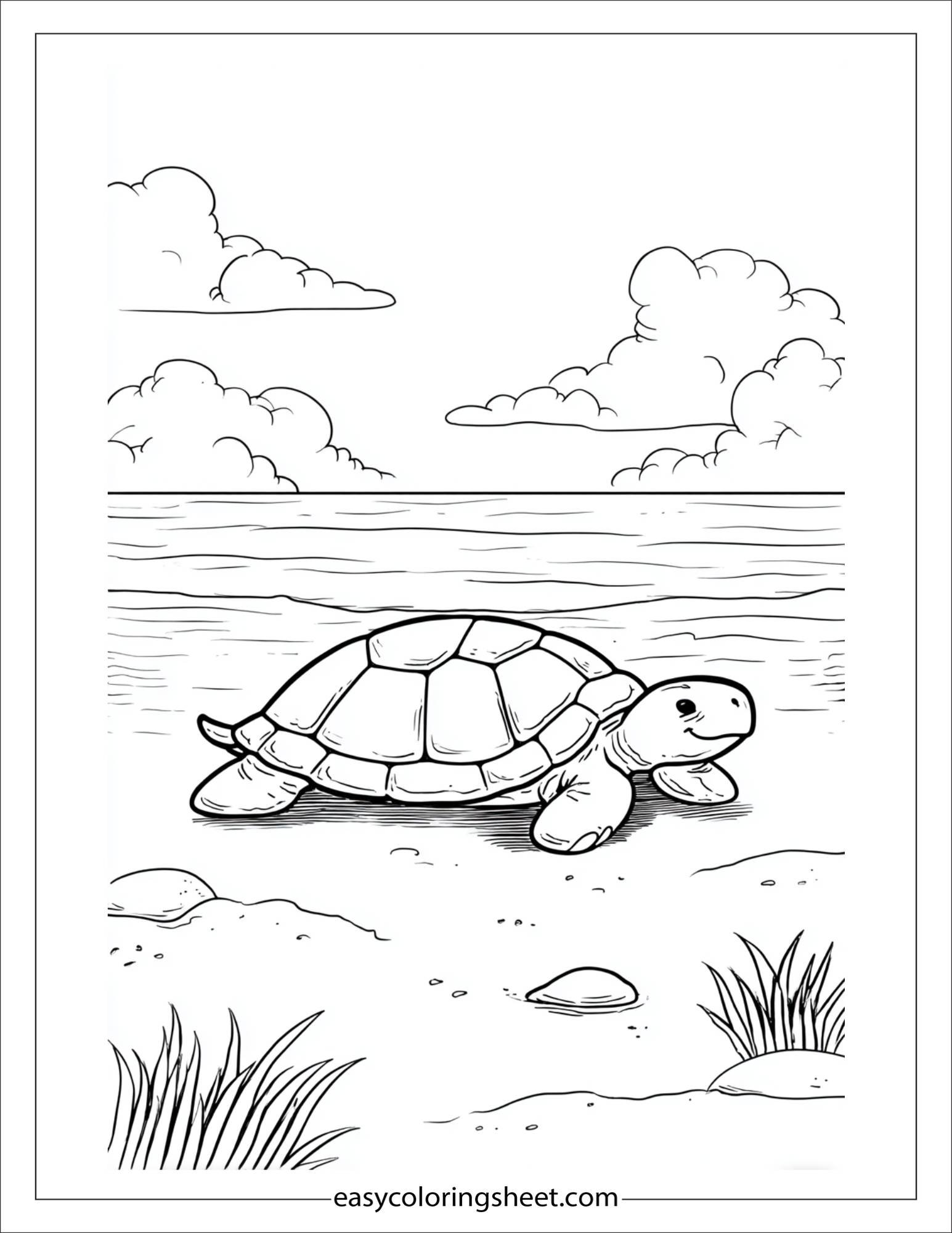 The Sea Turtle crawling on beach