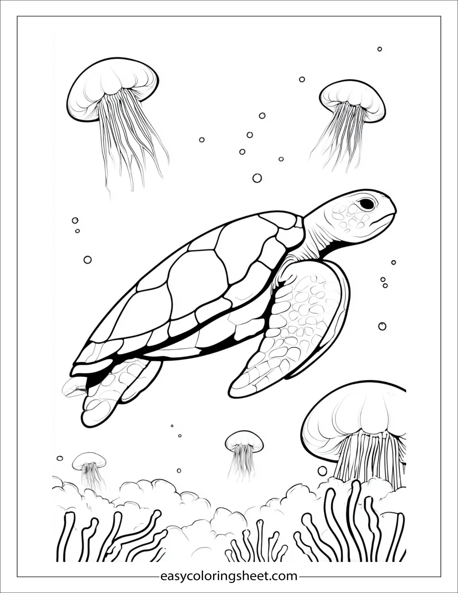 The Sea Turtle floating with jellyfish