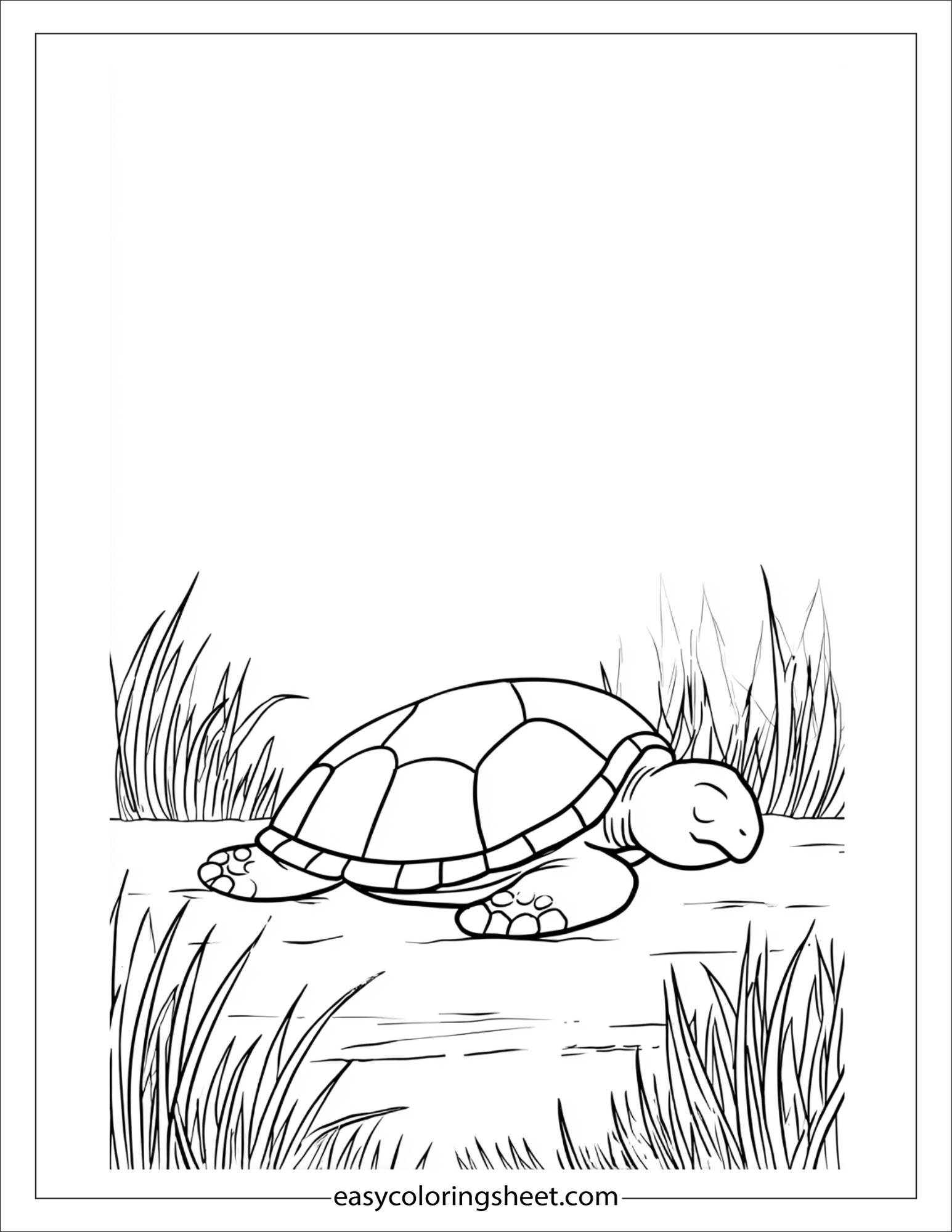 The Sea Turtle napping in sea grass