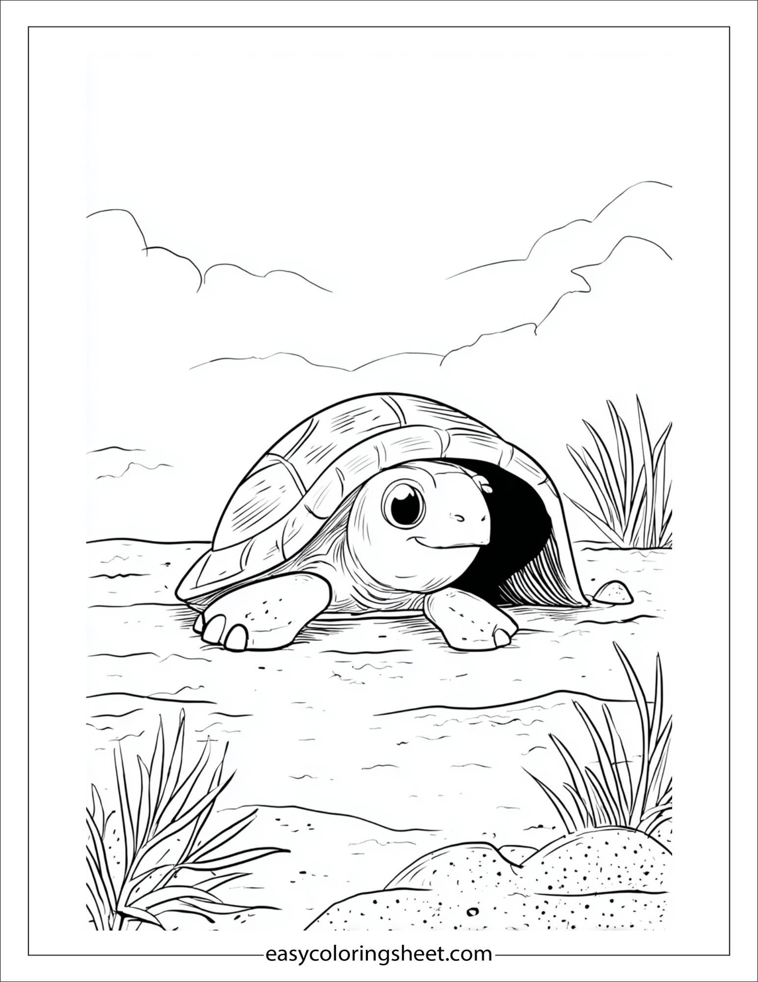 The Sea Turtle peeking from shell