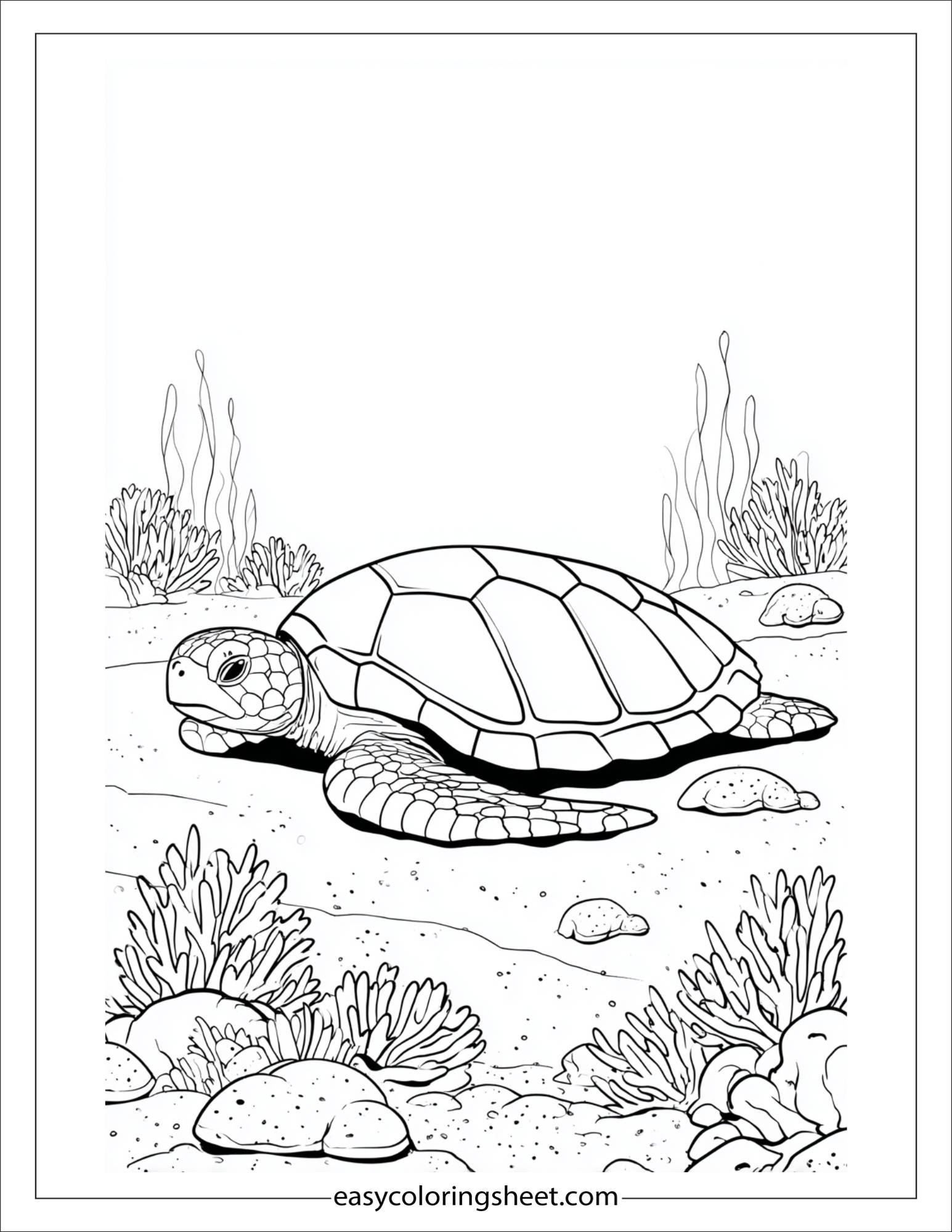 The Sea Turtle resting on seabed