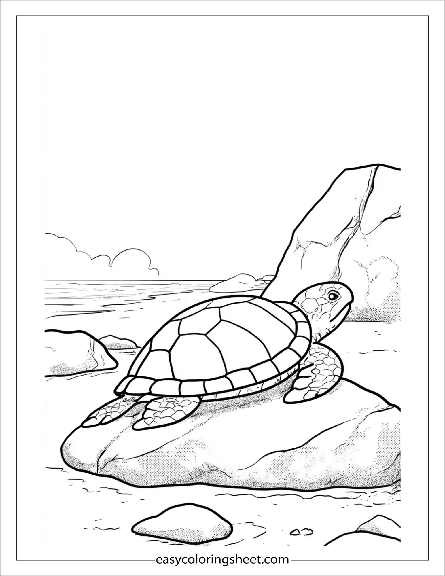 The Sea Turtle splashing near rocks