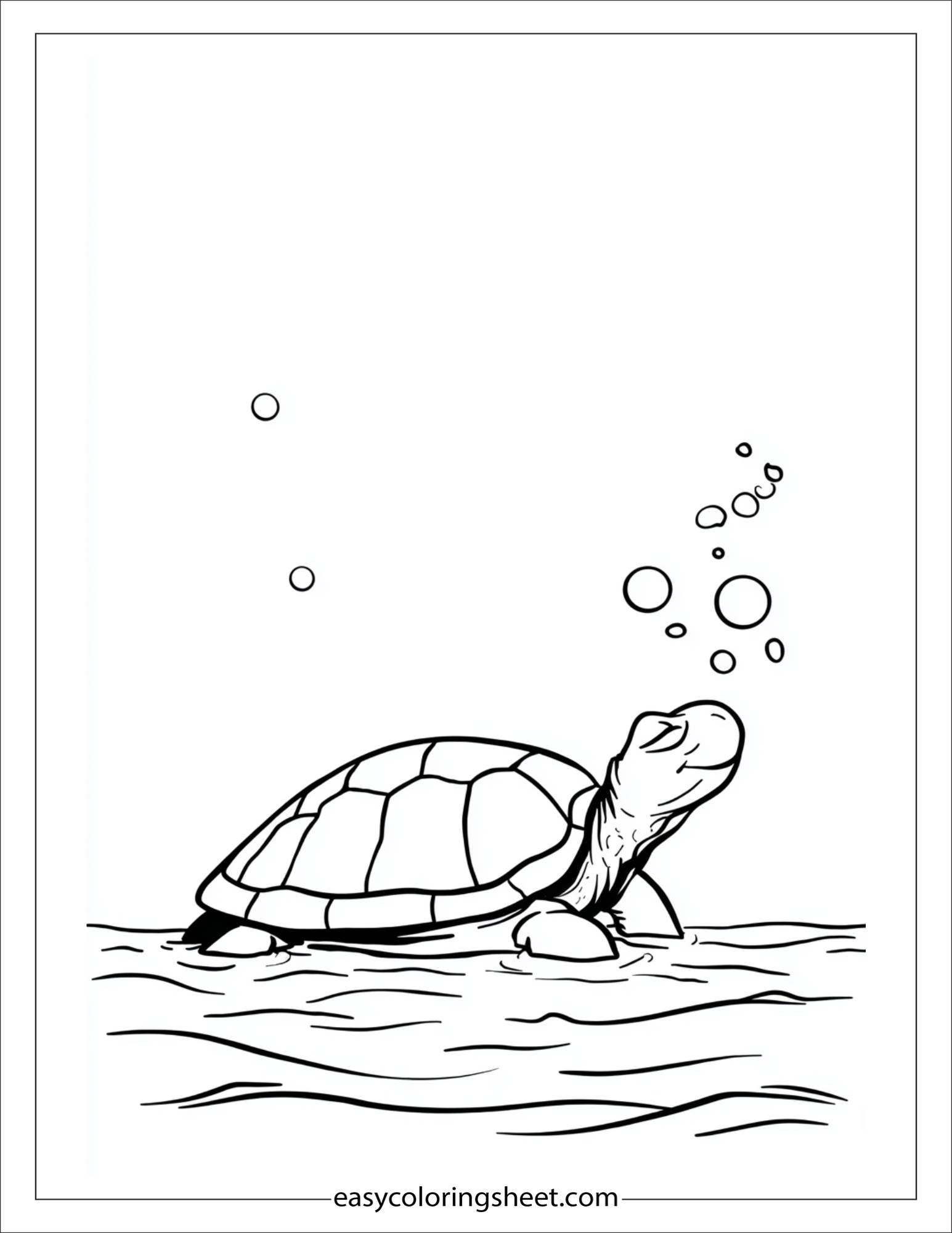 The Sea Turtle surfacing for air