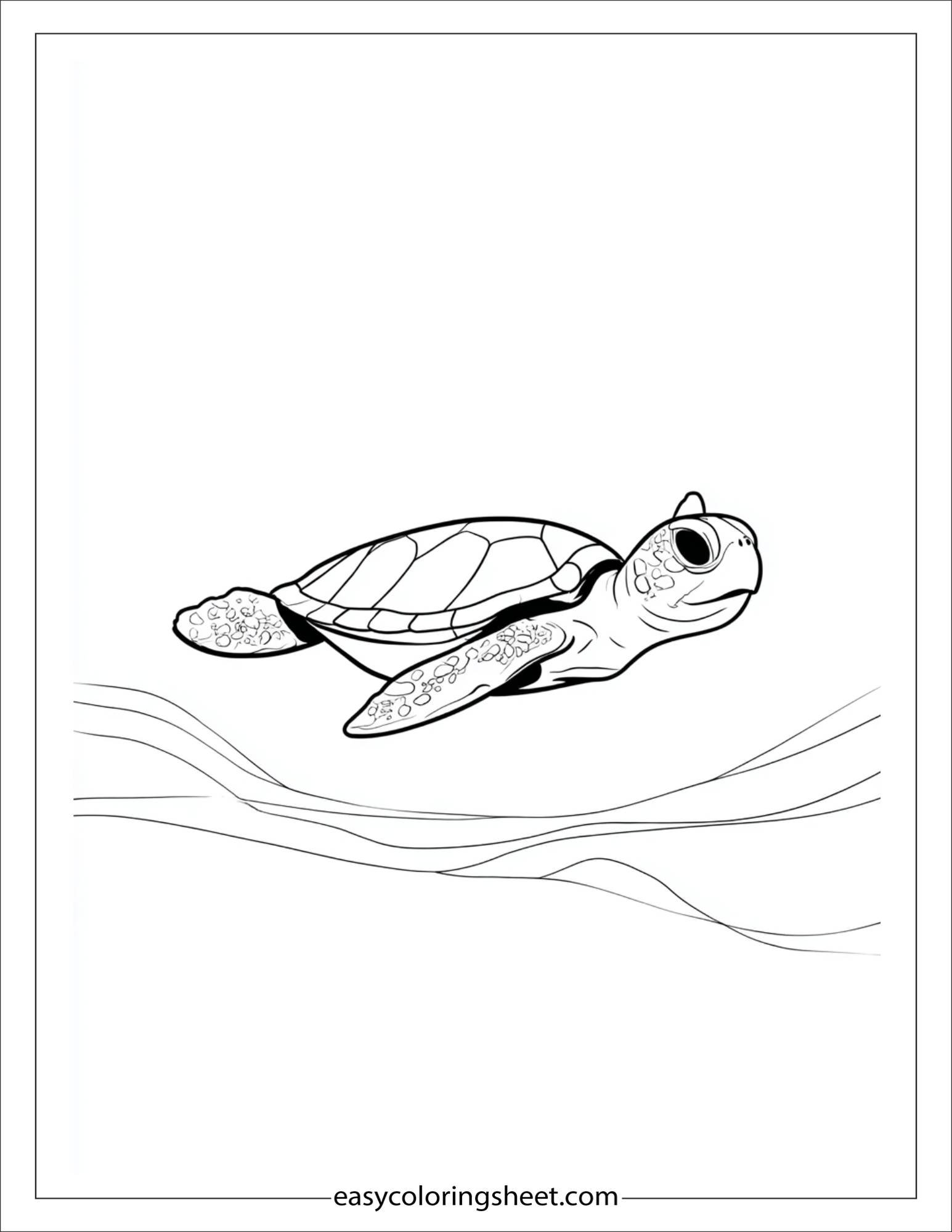 The Sea Turtle swimming peacefully