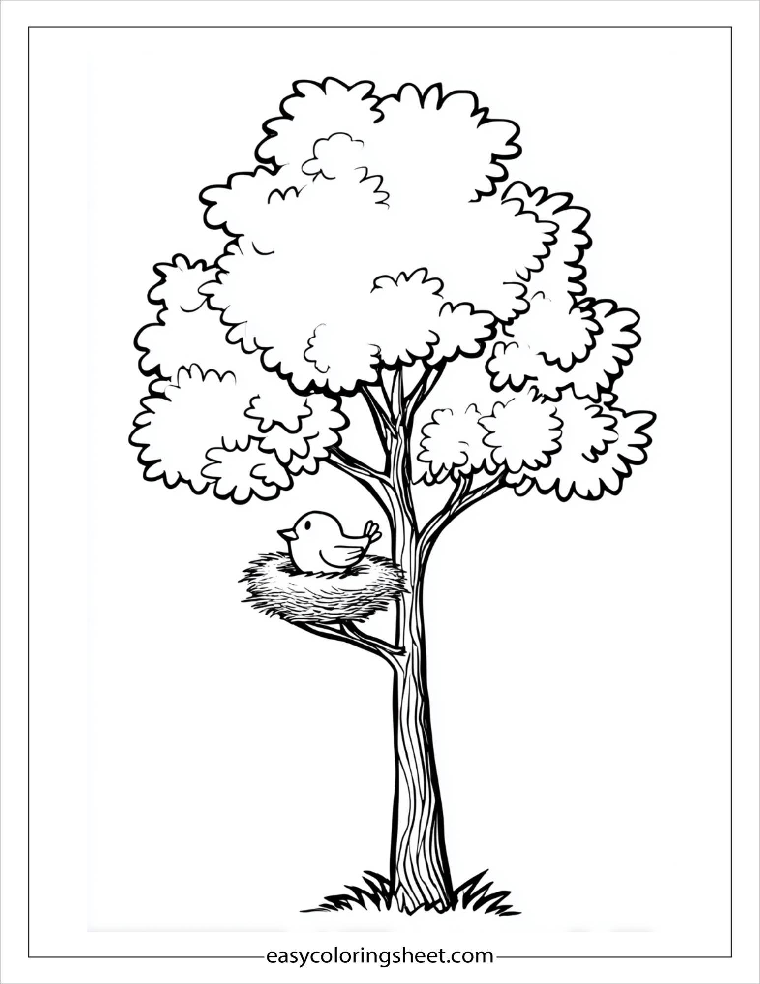 The Tall Tree holding a bird nest