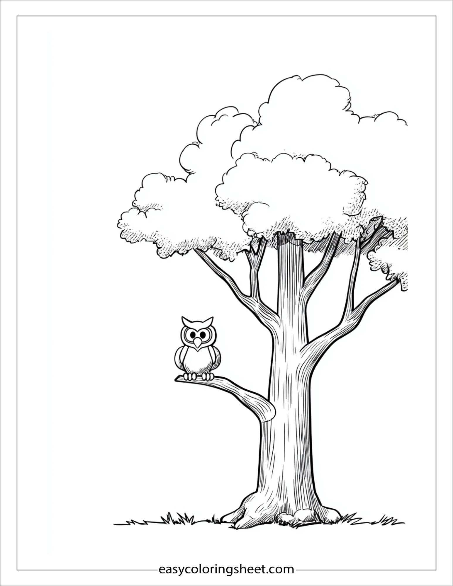The Tall Tree hosting owl in branch