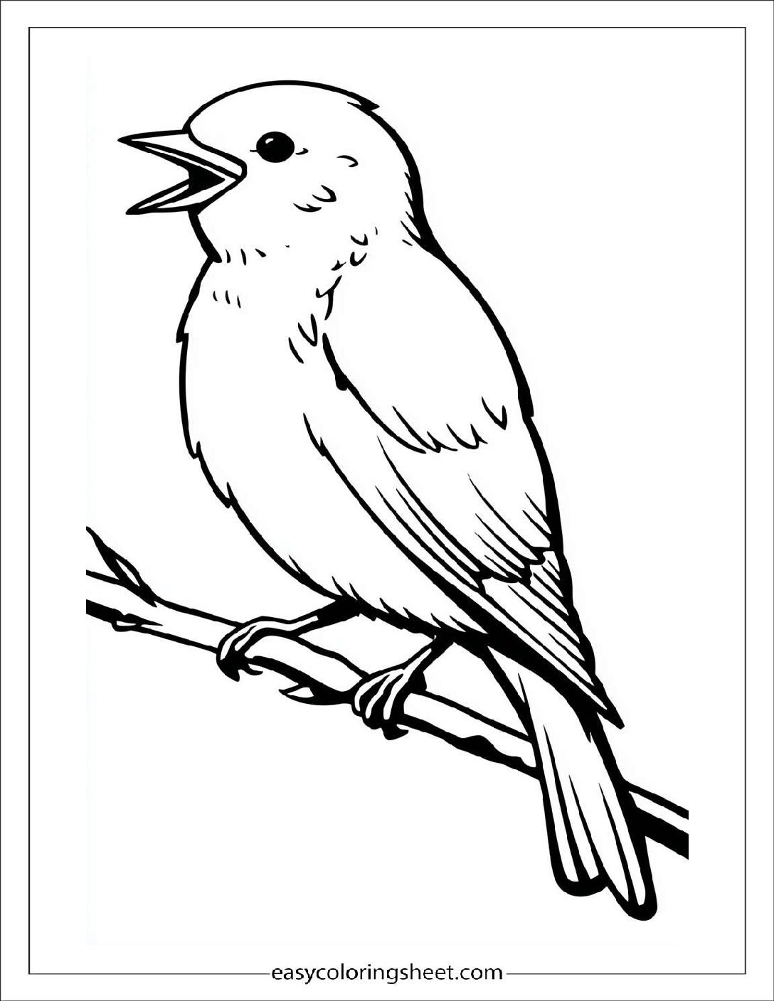 Bird singing on branch