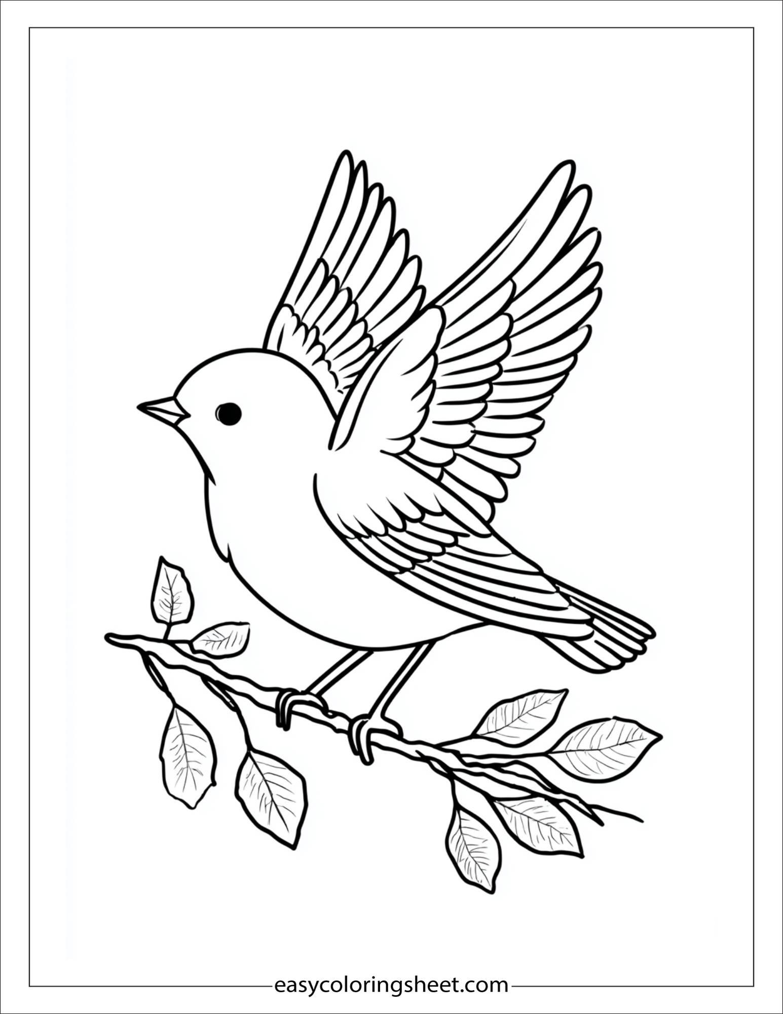 Bird spreading wings