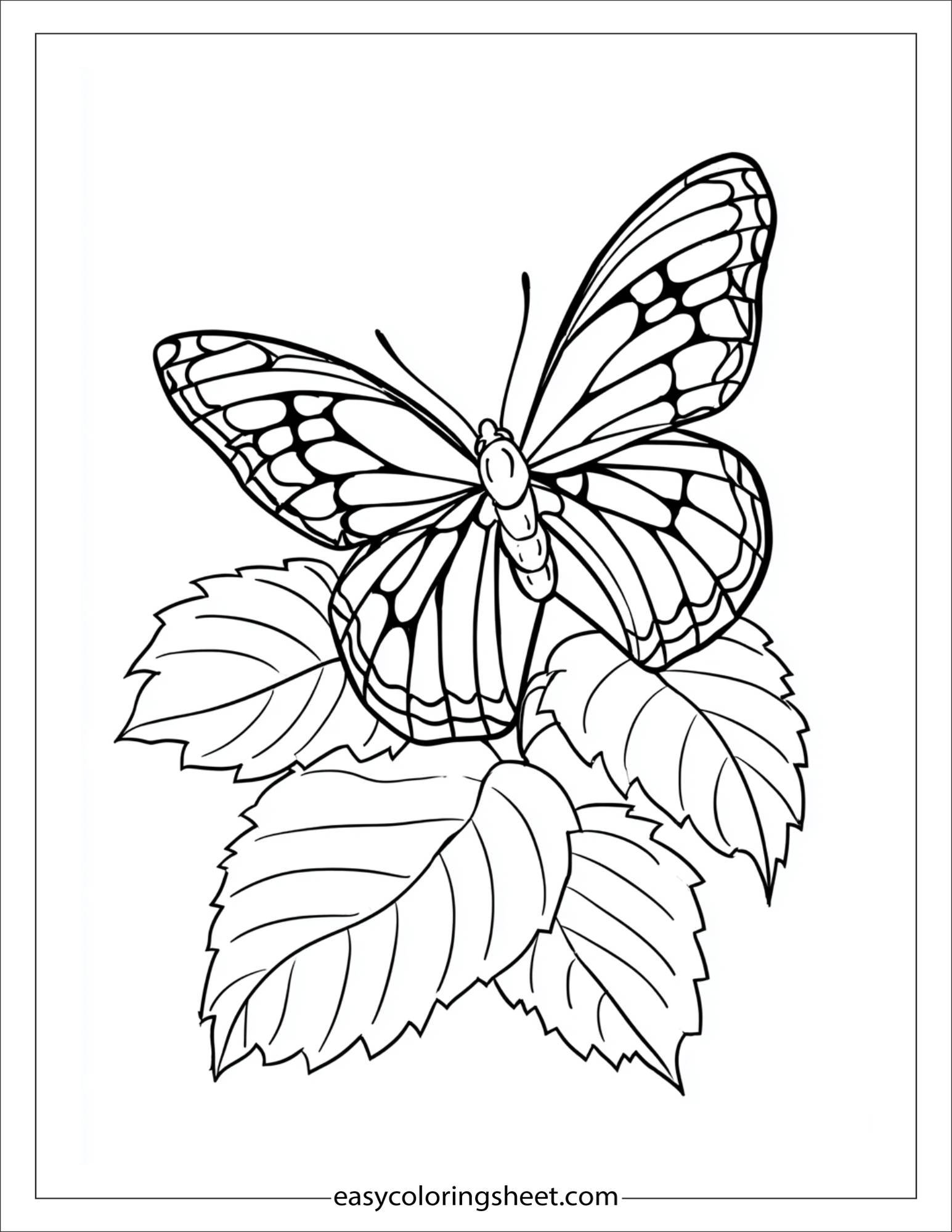 Butterfly resting on a leaf