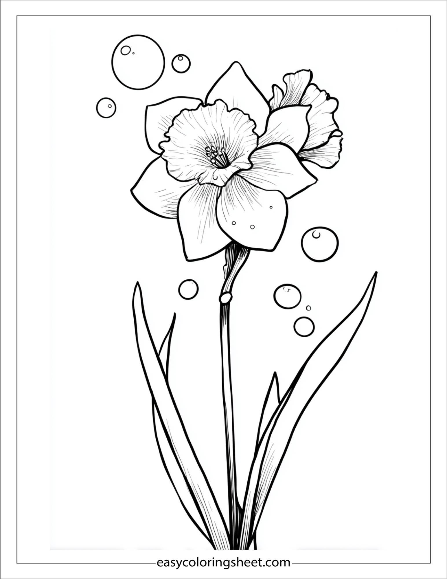 Daffodil blowing bubbles