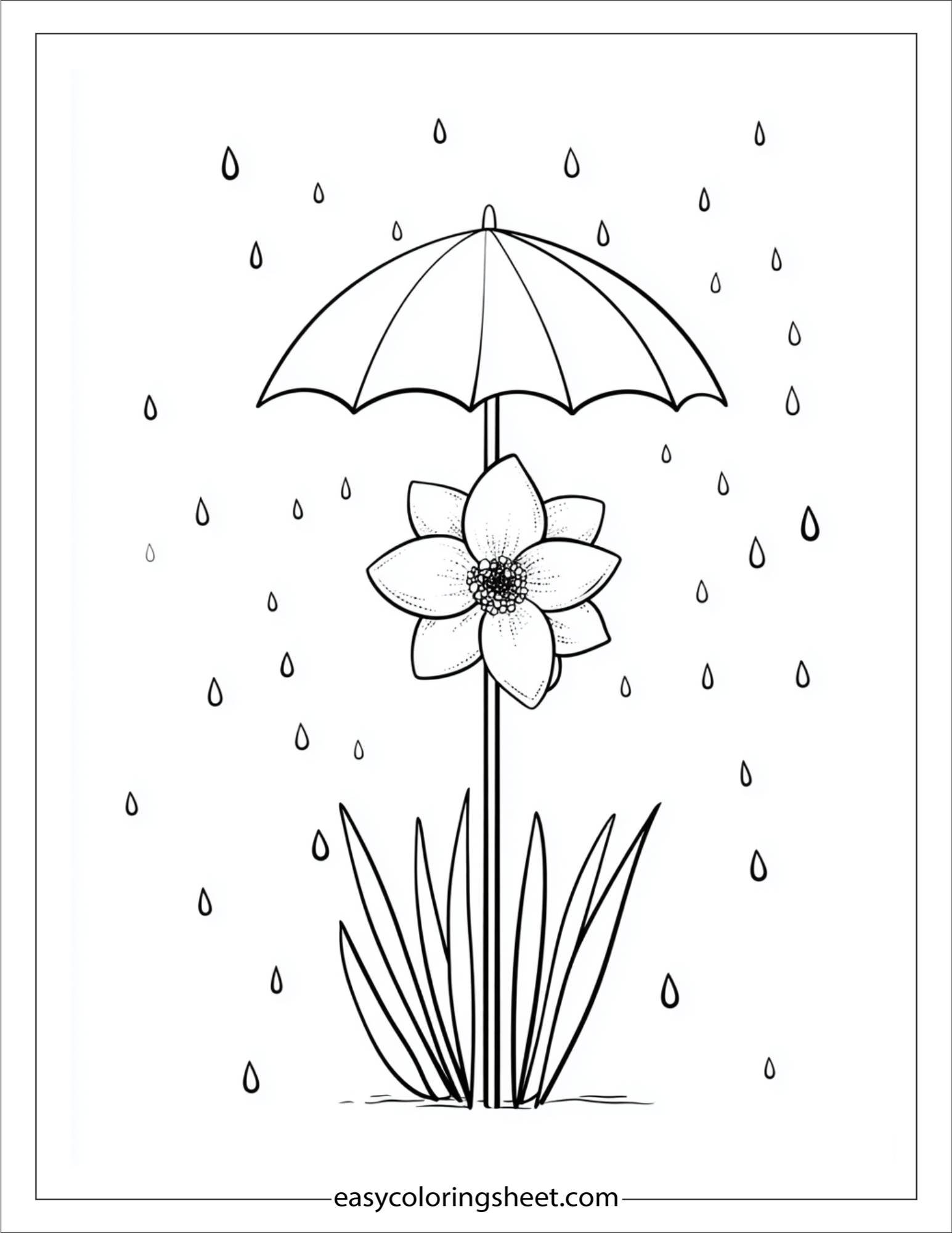 Daffodil holding a little umbrella