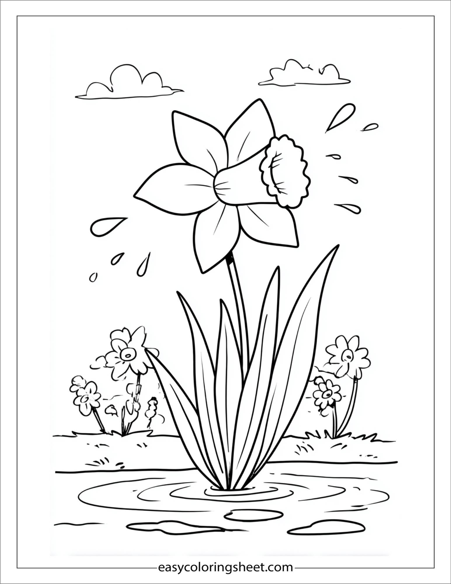 Daffodil jumping in puddles