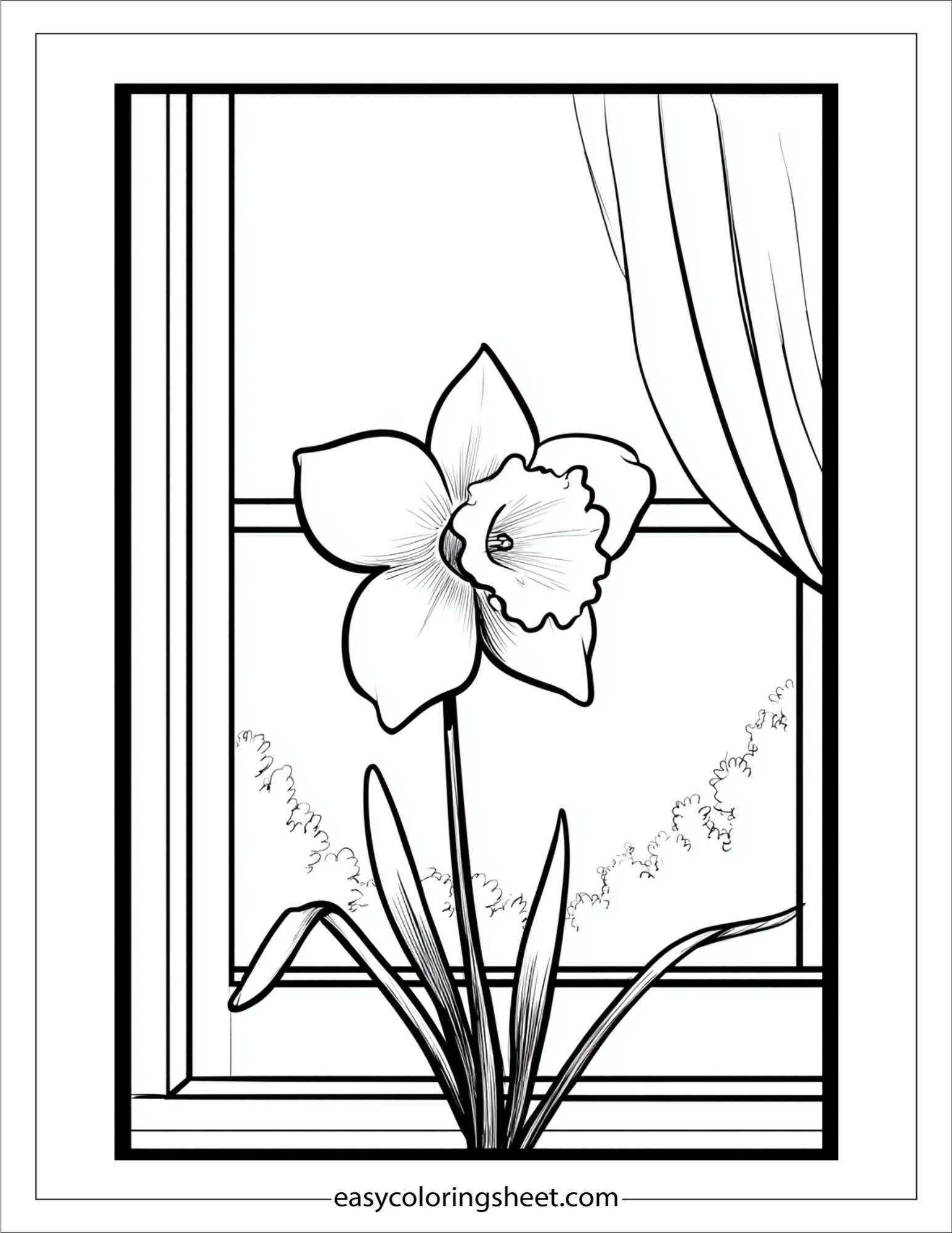 Daffodil peeking from a window