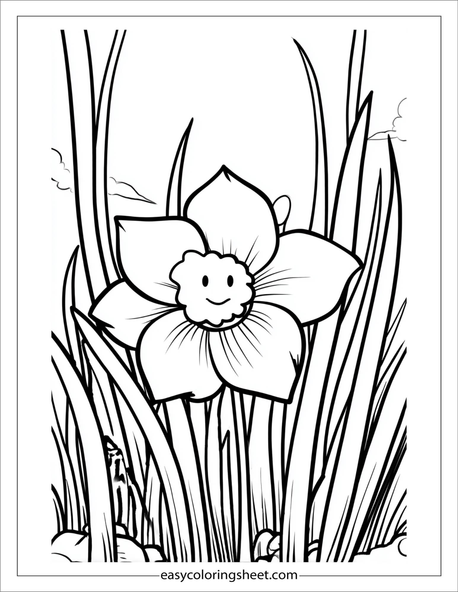 Daffodil playing hide and seek