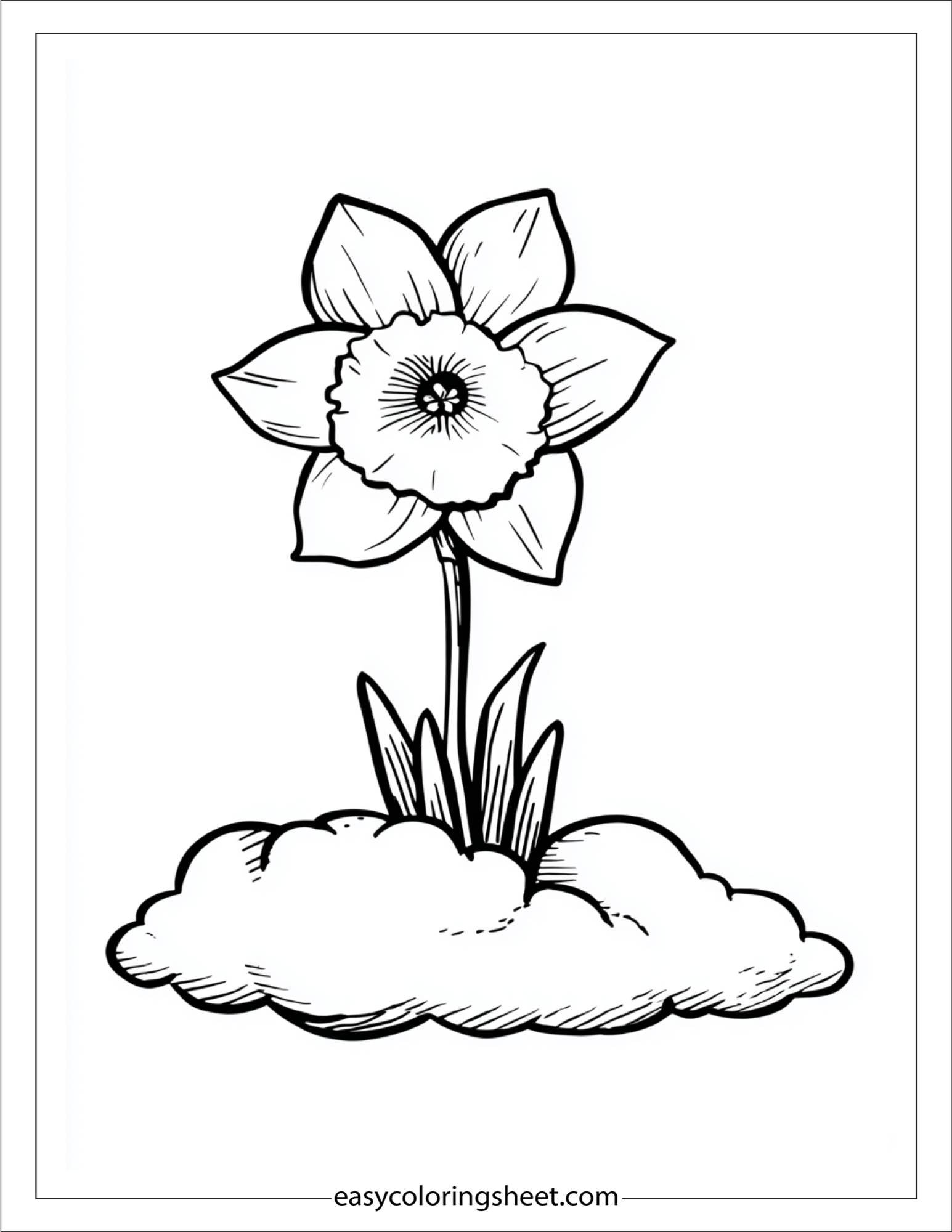 Daffodil resting on a cloud