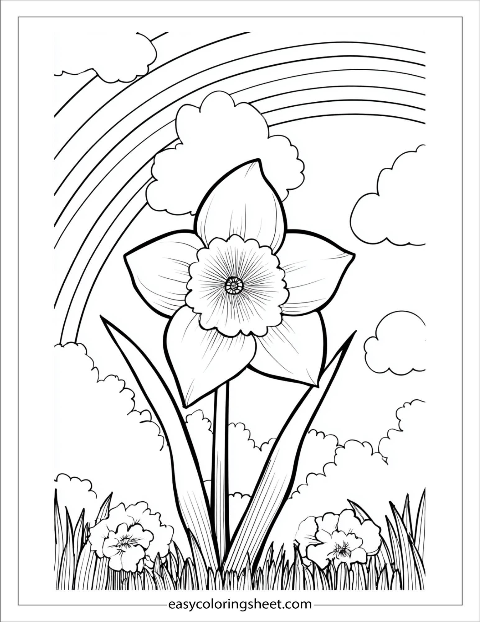 Daffodil sliding down a rainbow