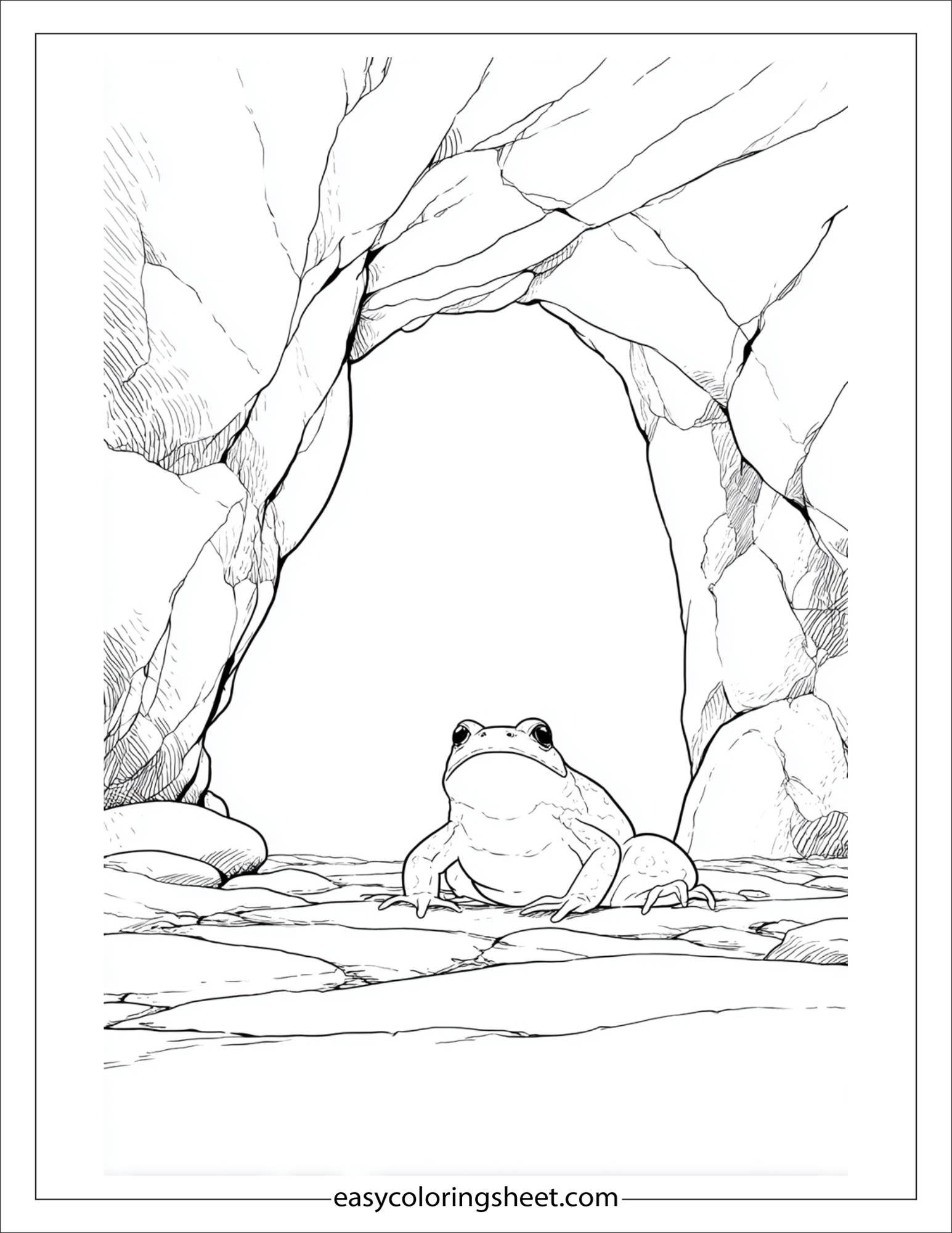 Frog exploring cave