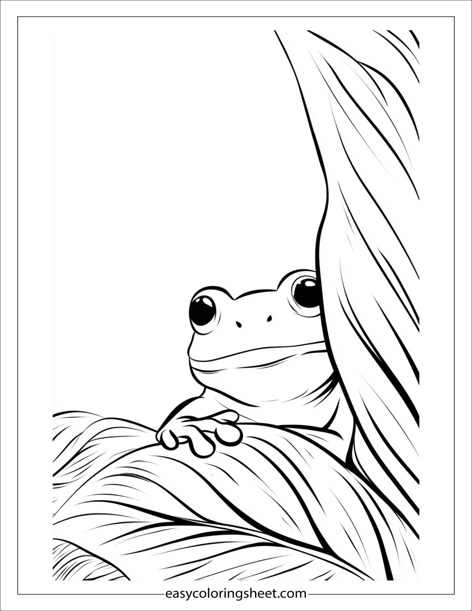 Frog playing hide and seek