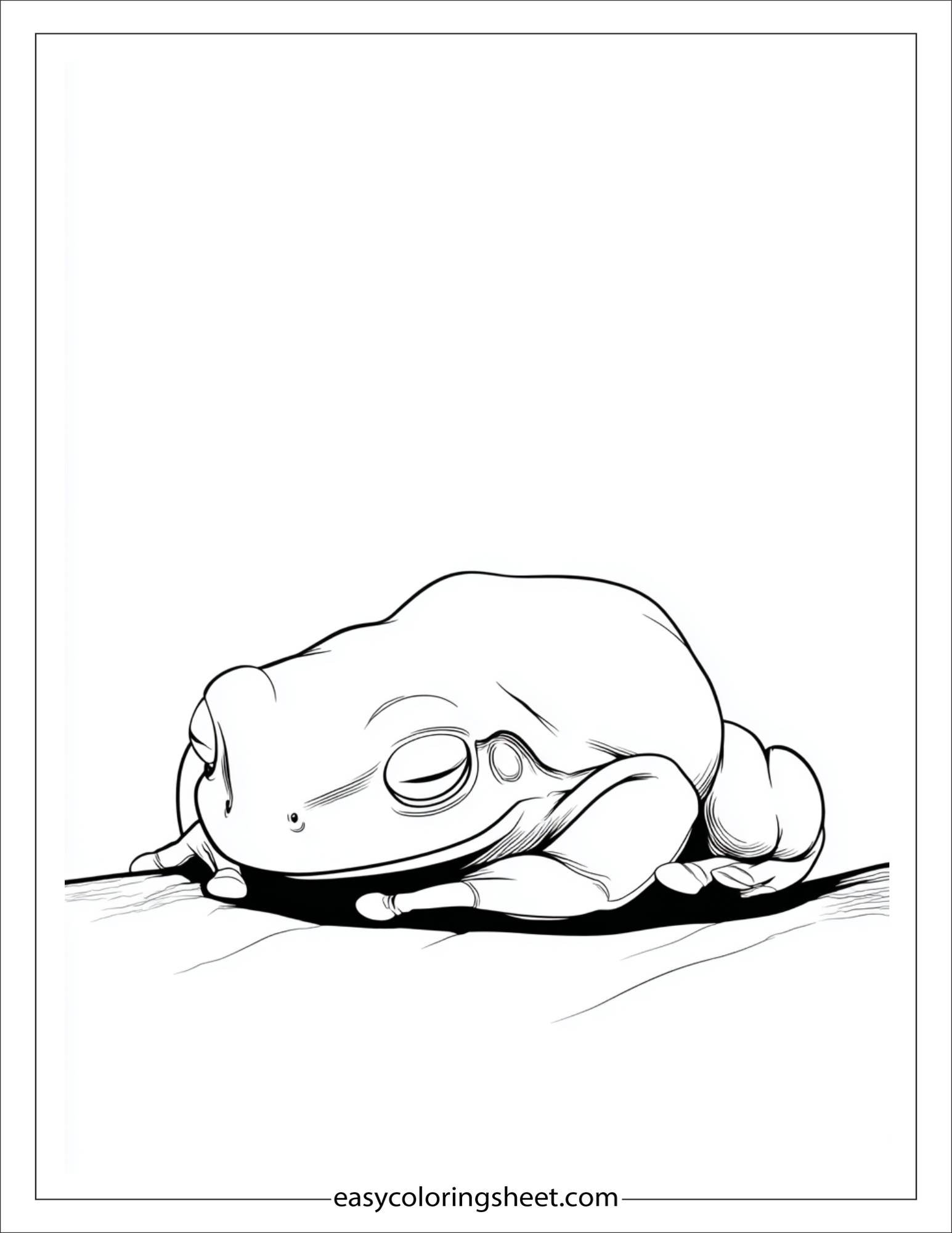 Frog sleeping peacefully