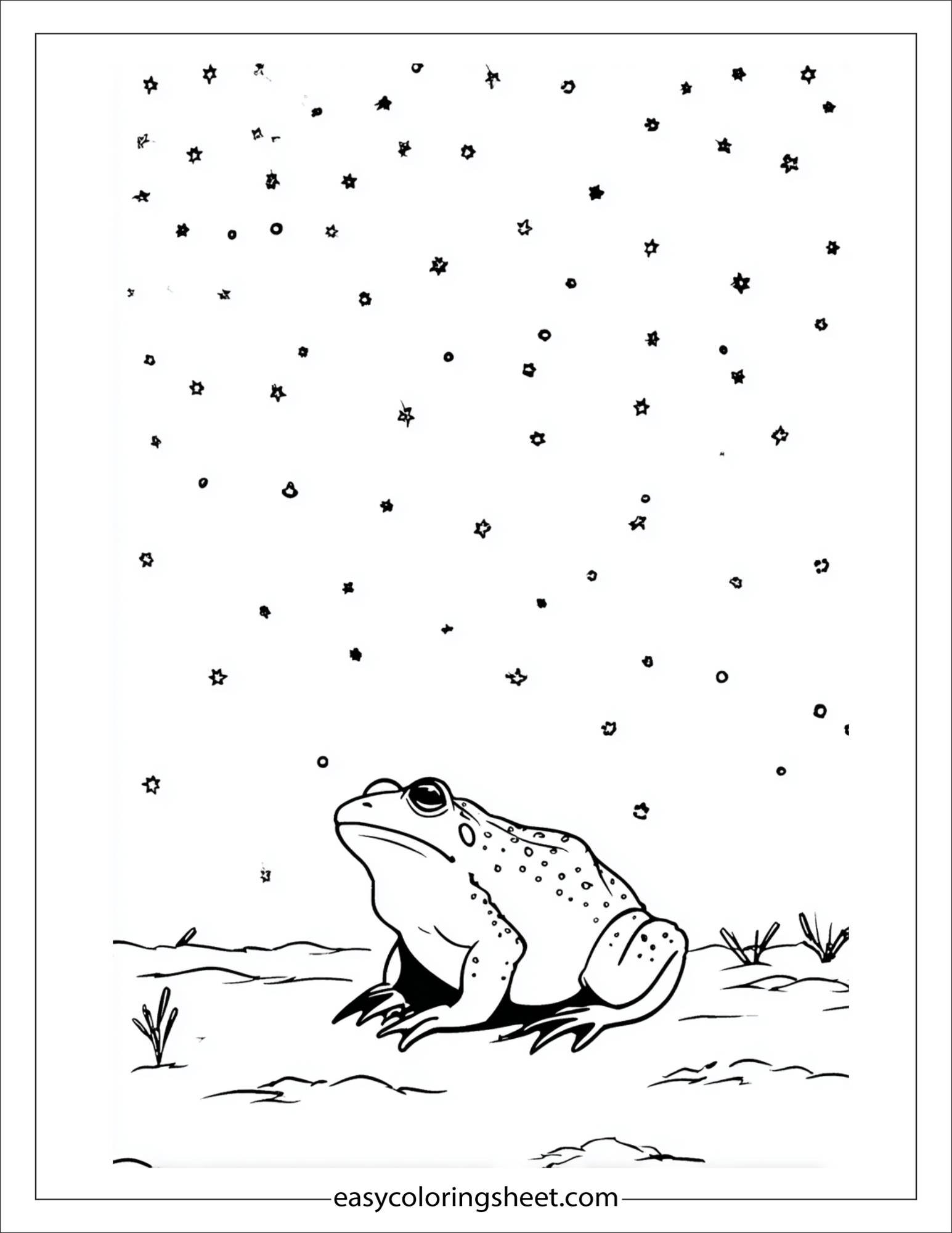 Frog watching stars
