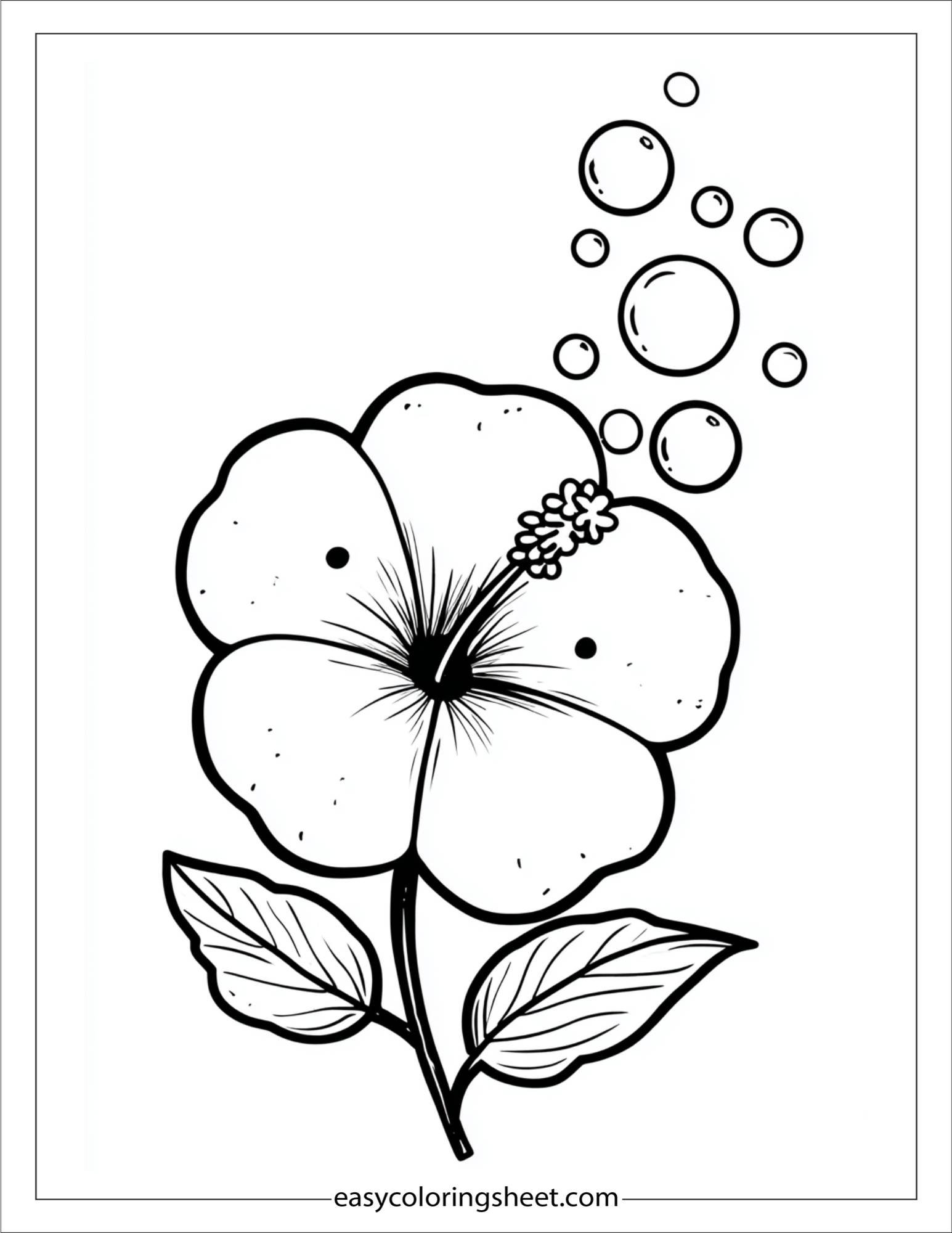 Hibiscus Blowing Bubbles