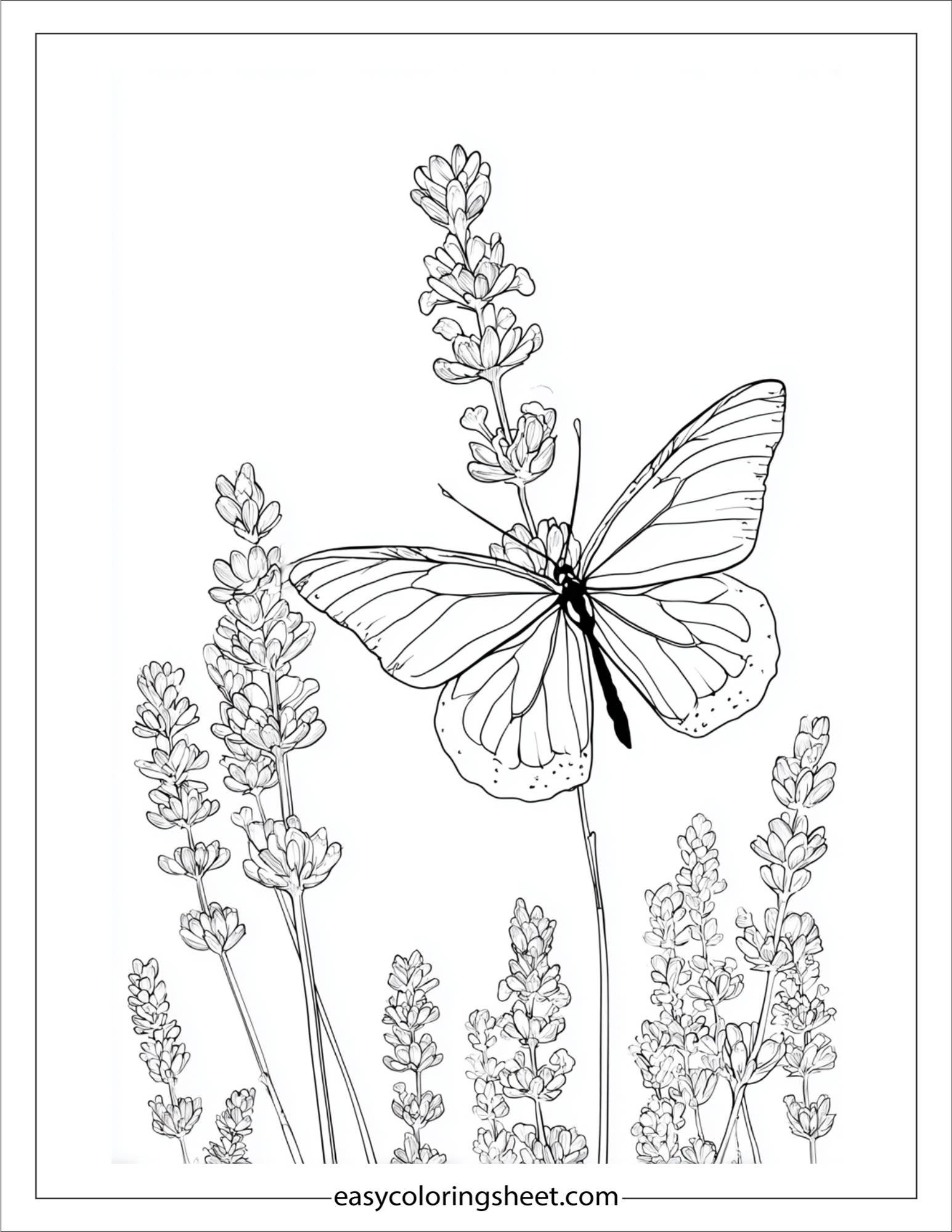 Lavender and Butterfly