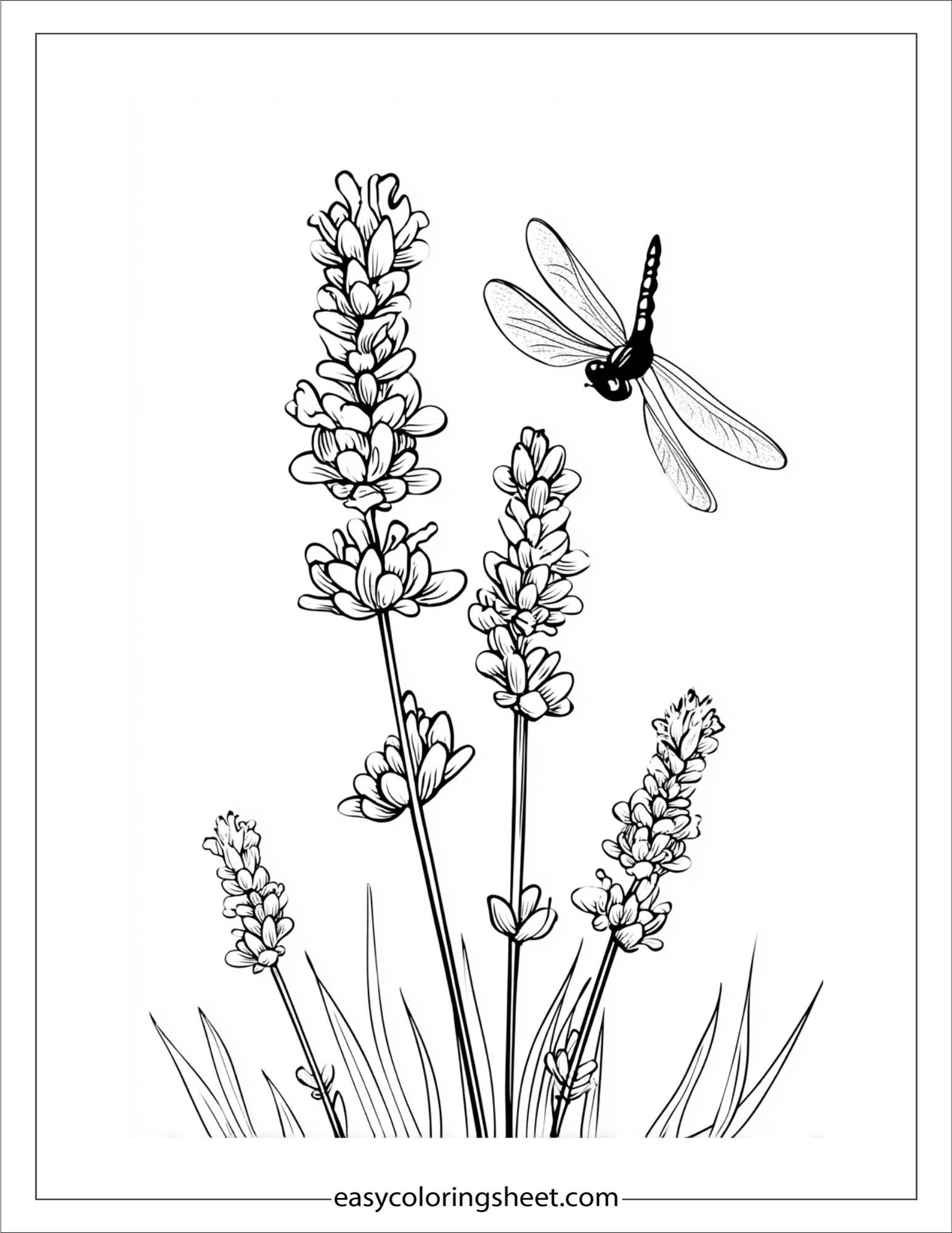 Lavender and Dragonfly