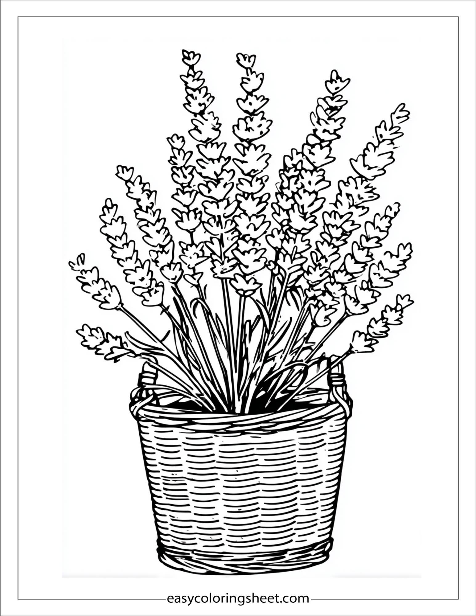 Lavender in a wicker basket