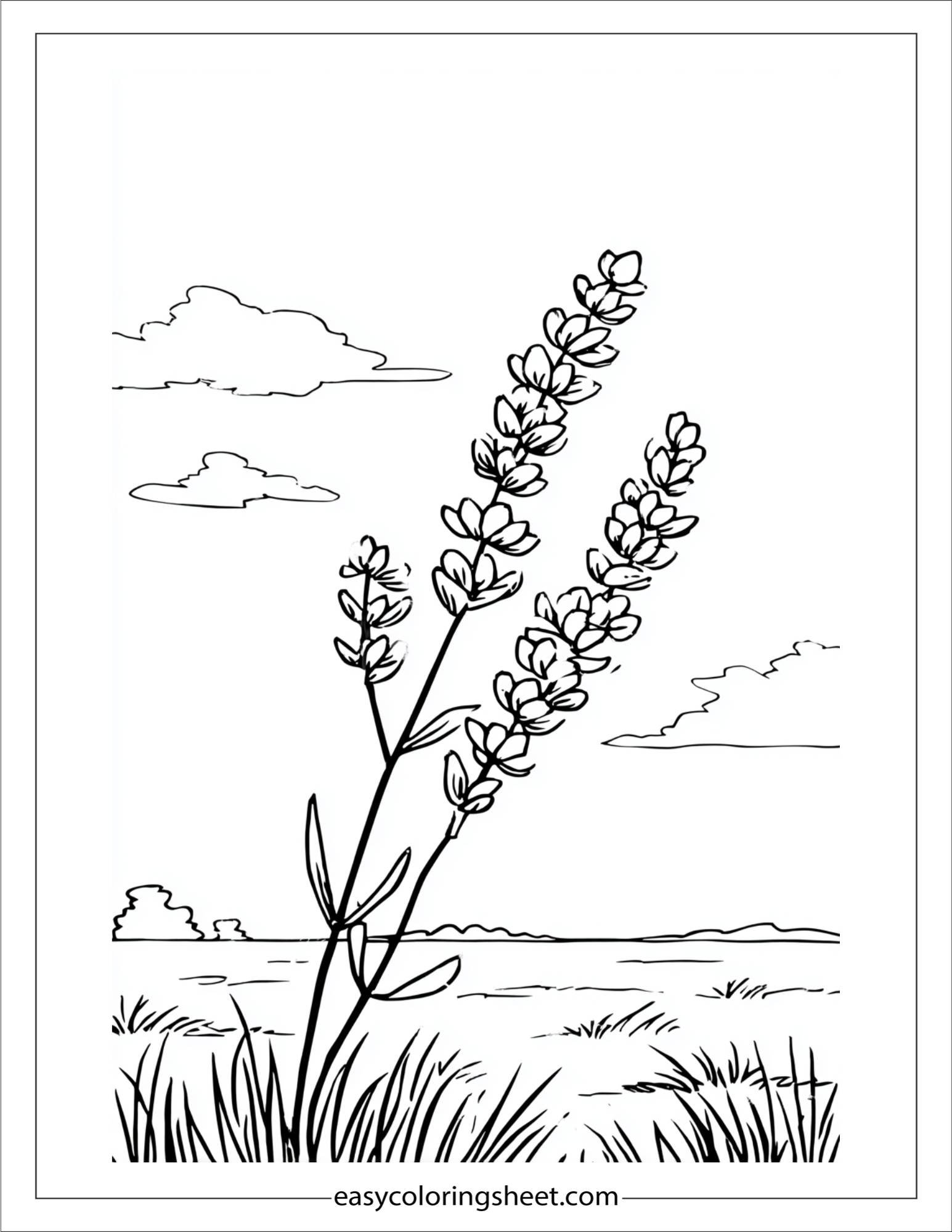 Lavender in the Wind