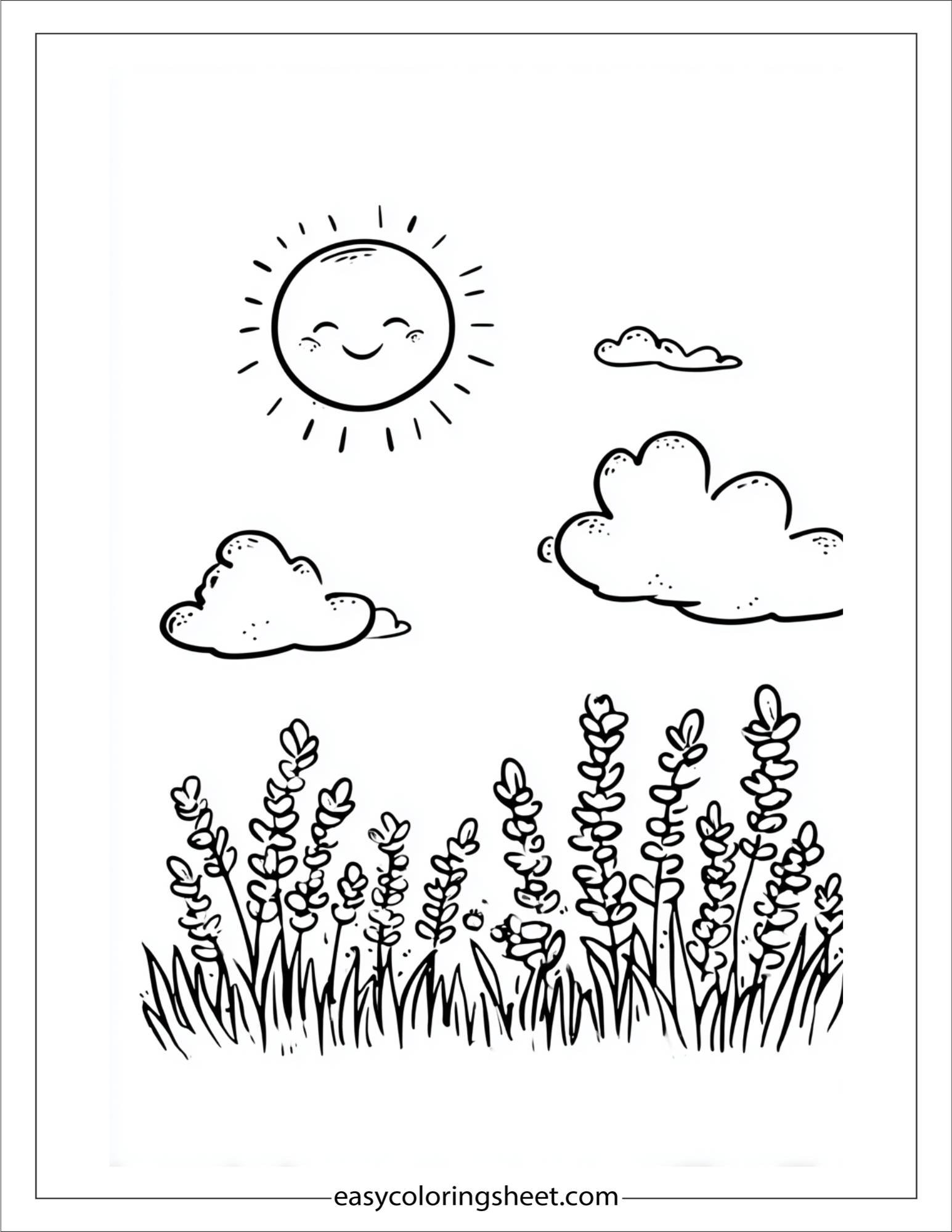 Lavender with Happy Sun