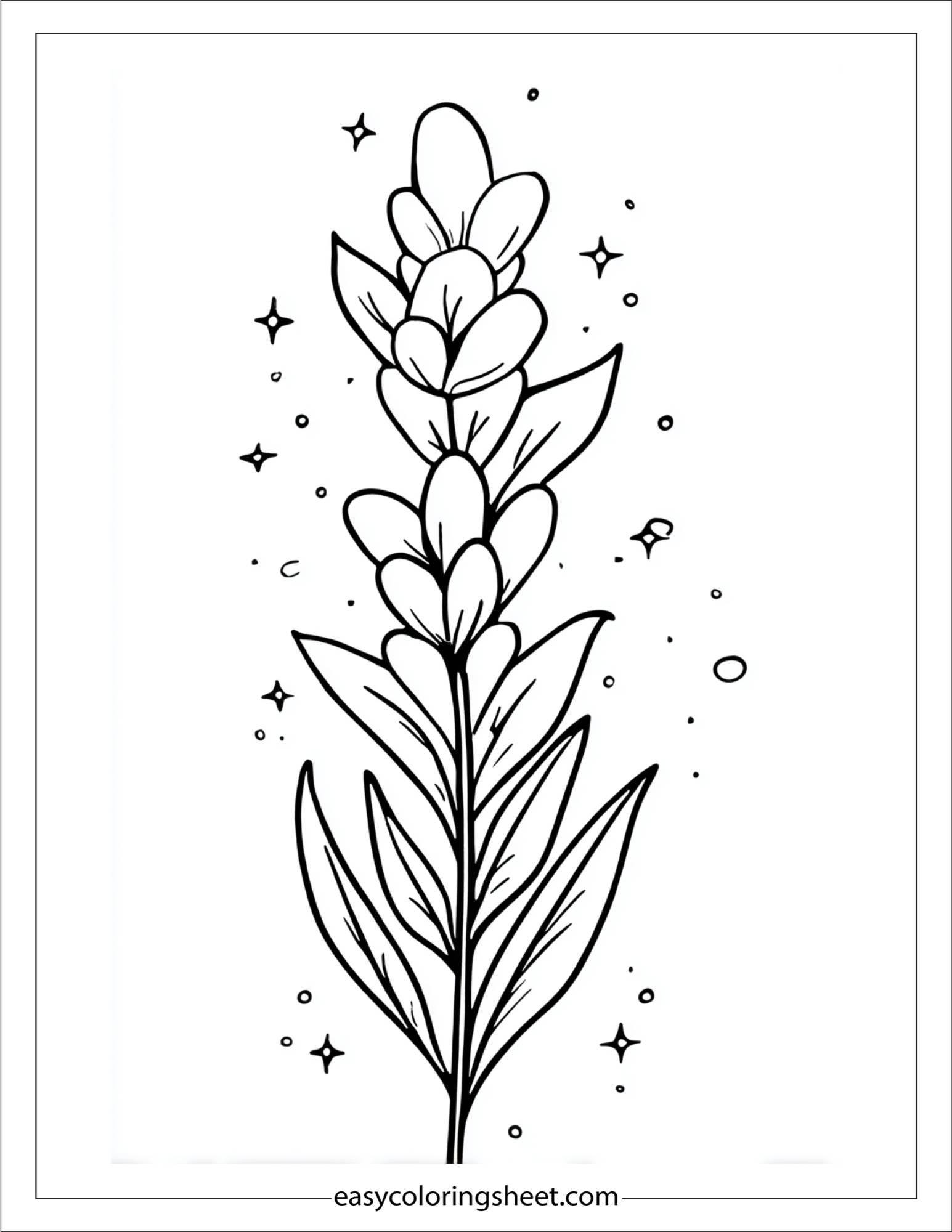 Lavender with Sparkles