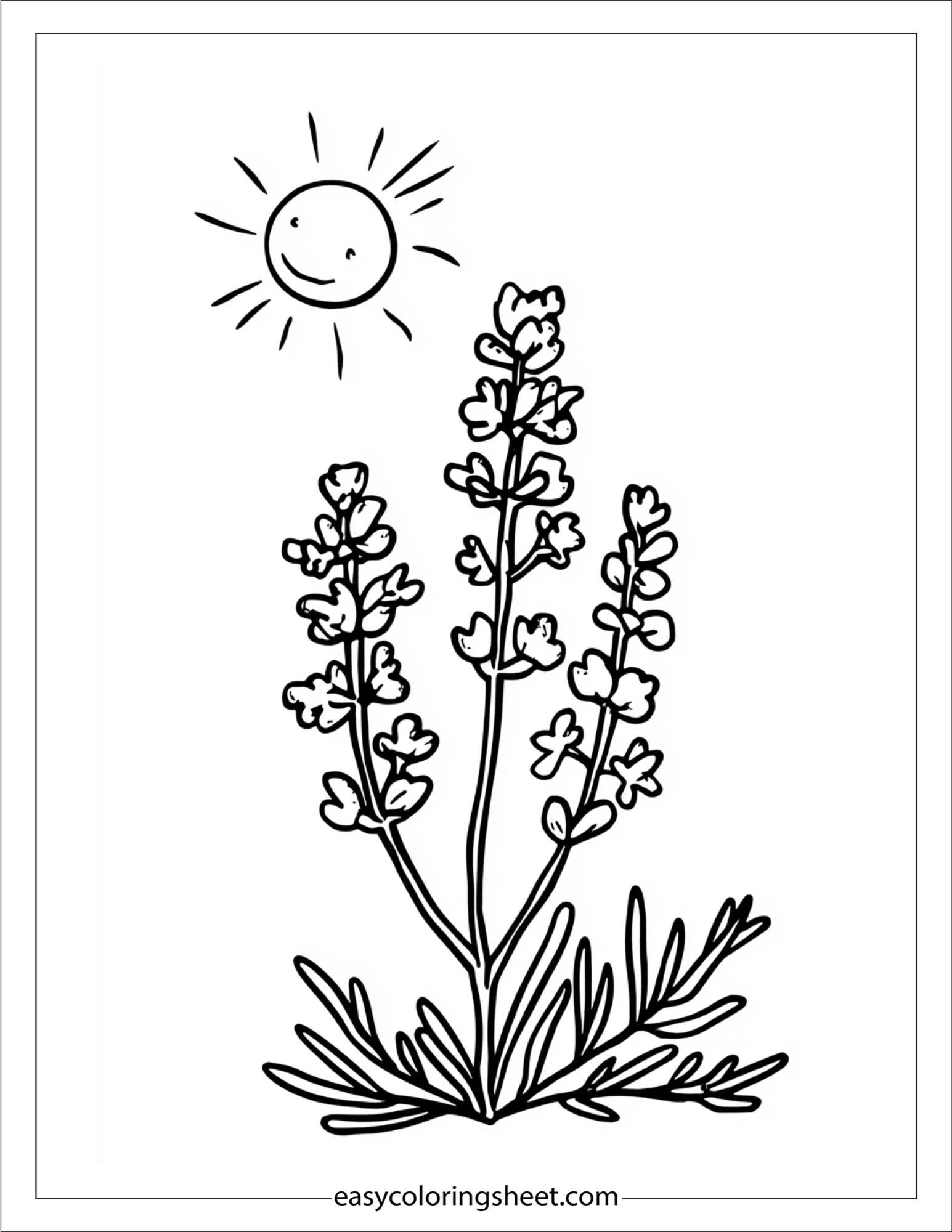 Lavender with smiling sun