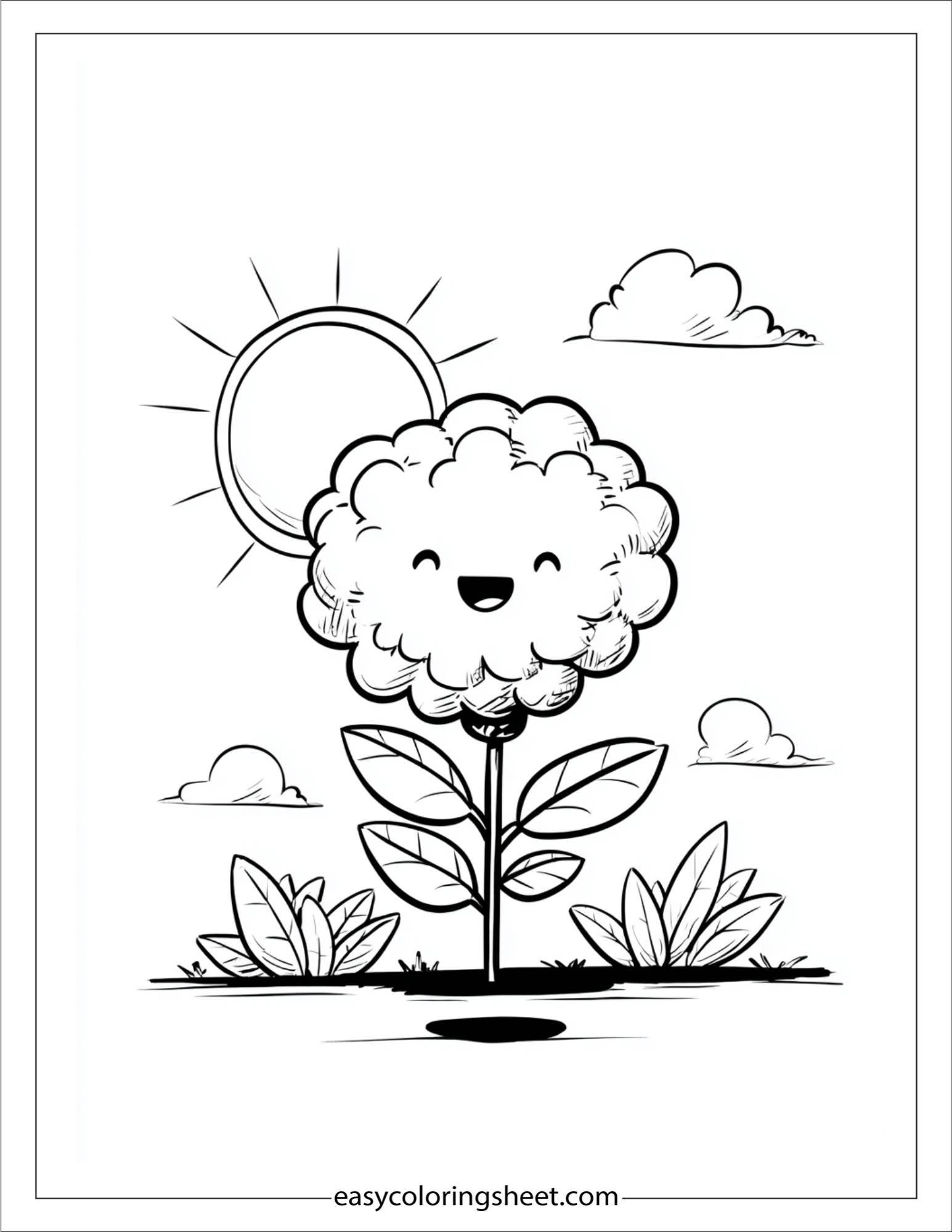 Marigold in morning sun