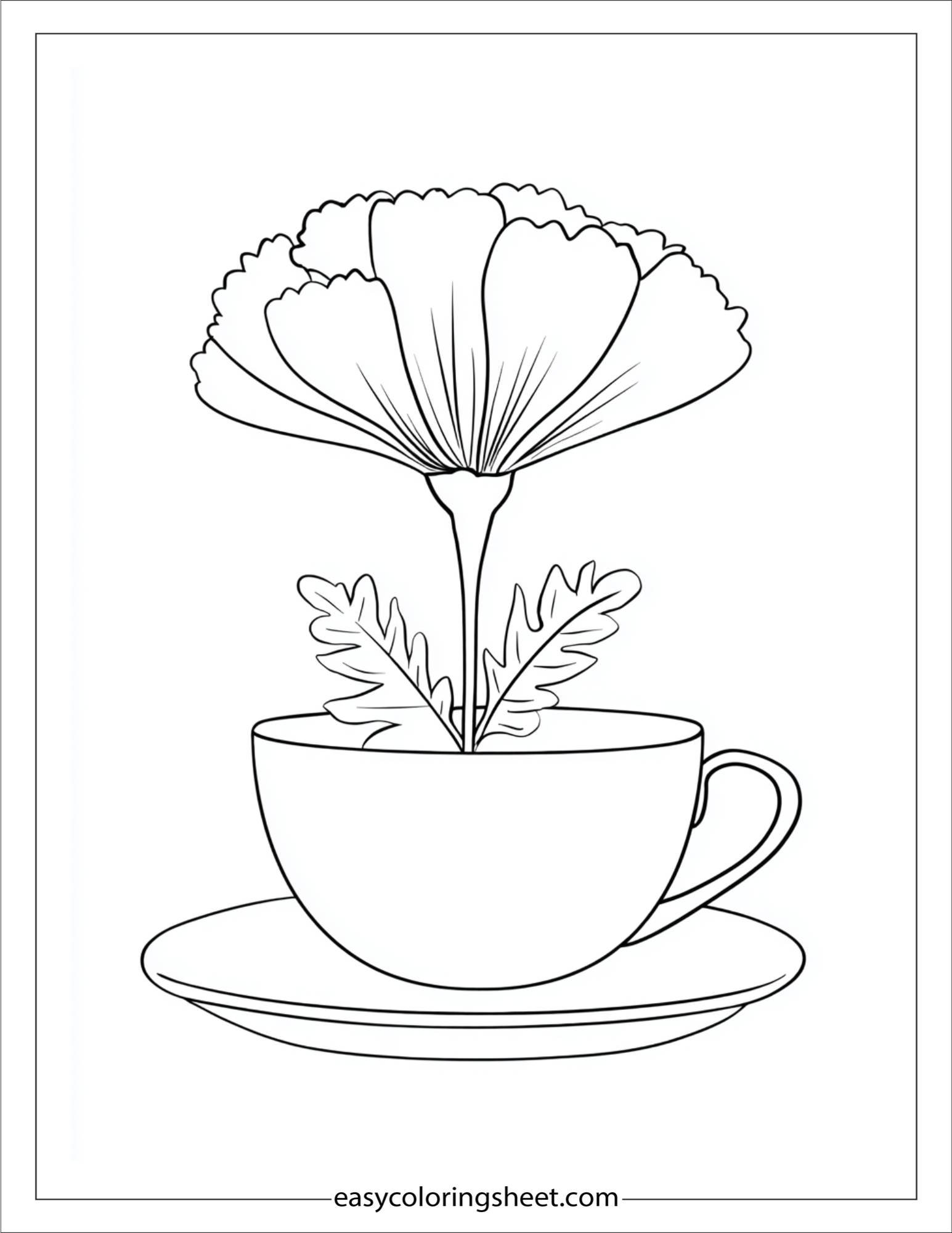 Marigold in teacup