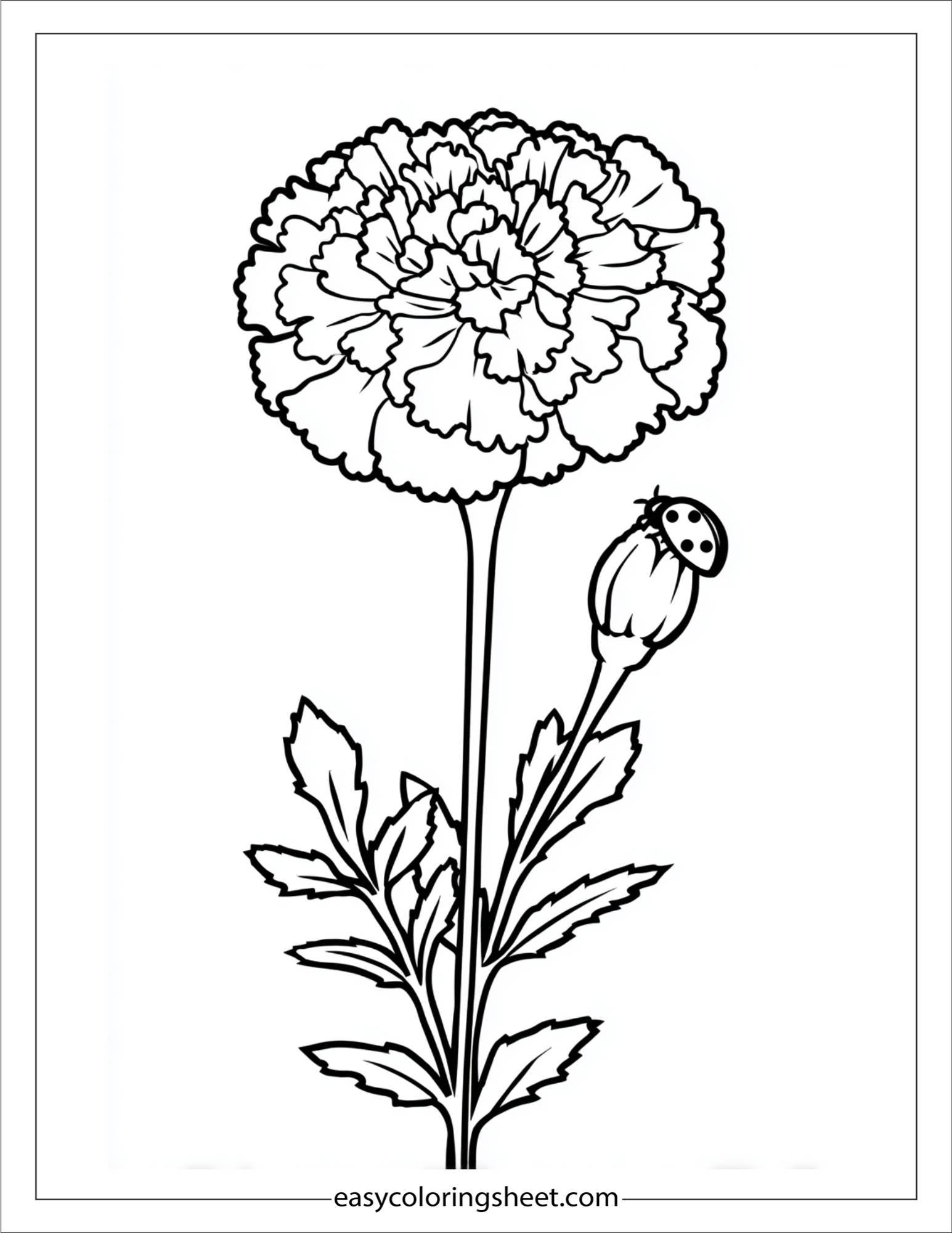 Marigold with ladybug