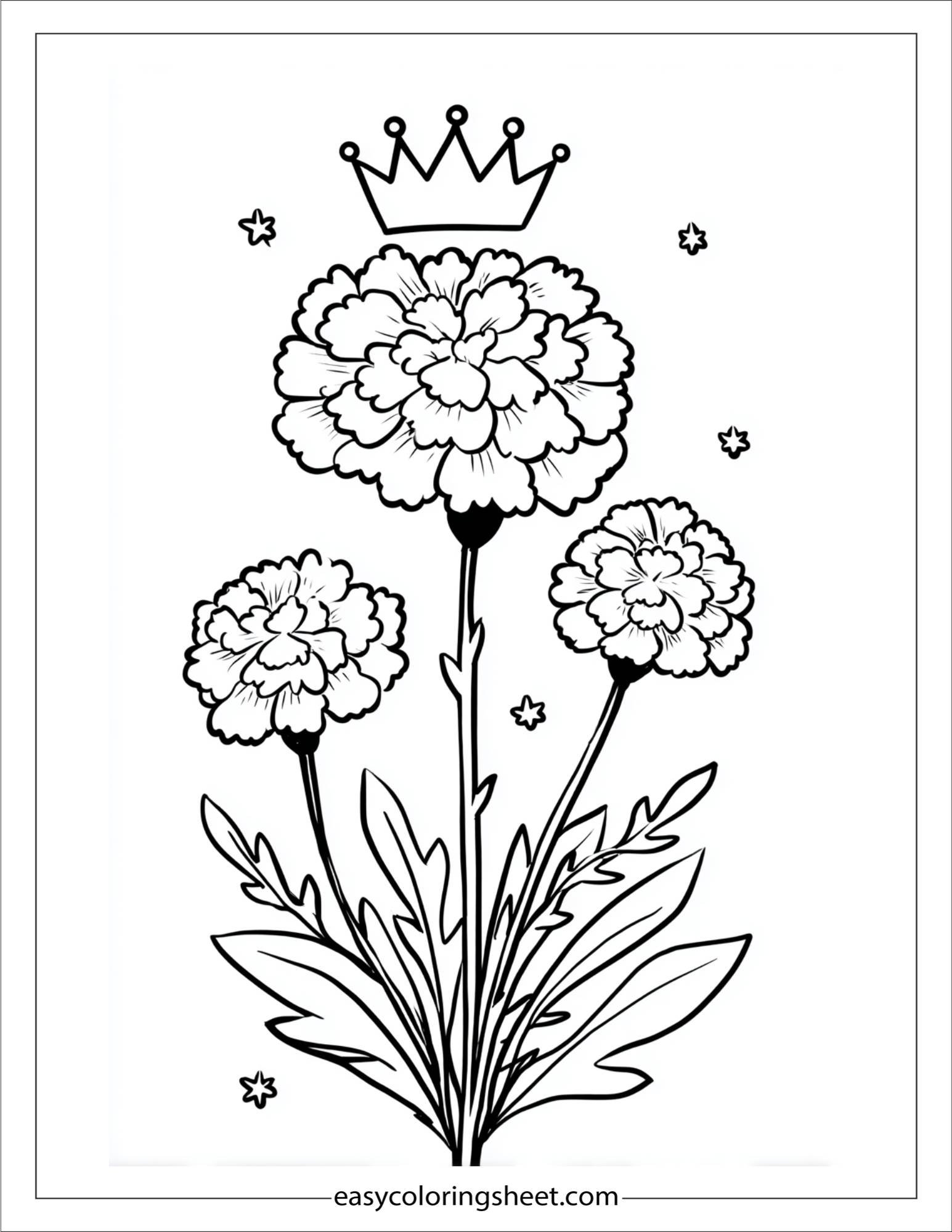 Marigold with star crown