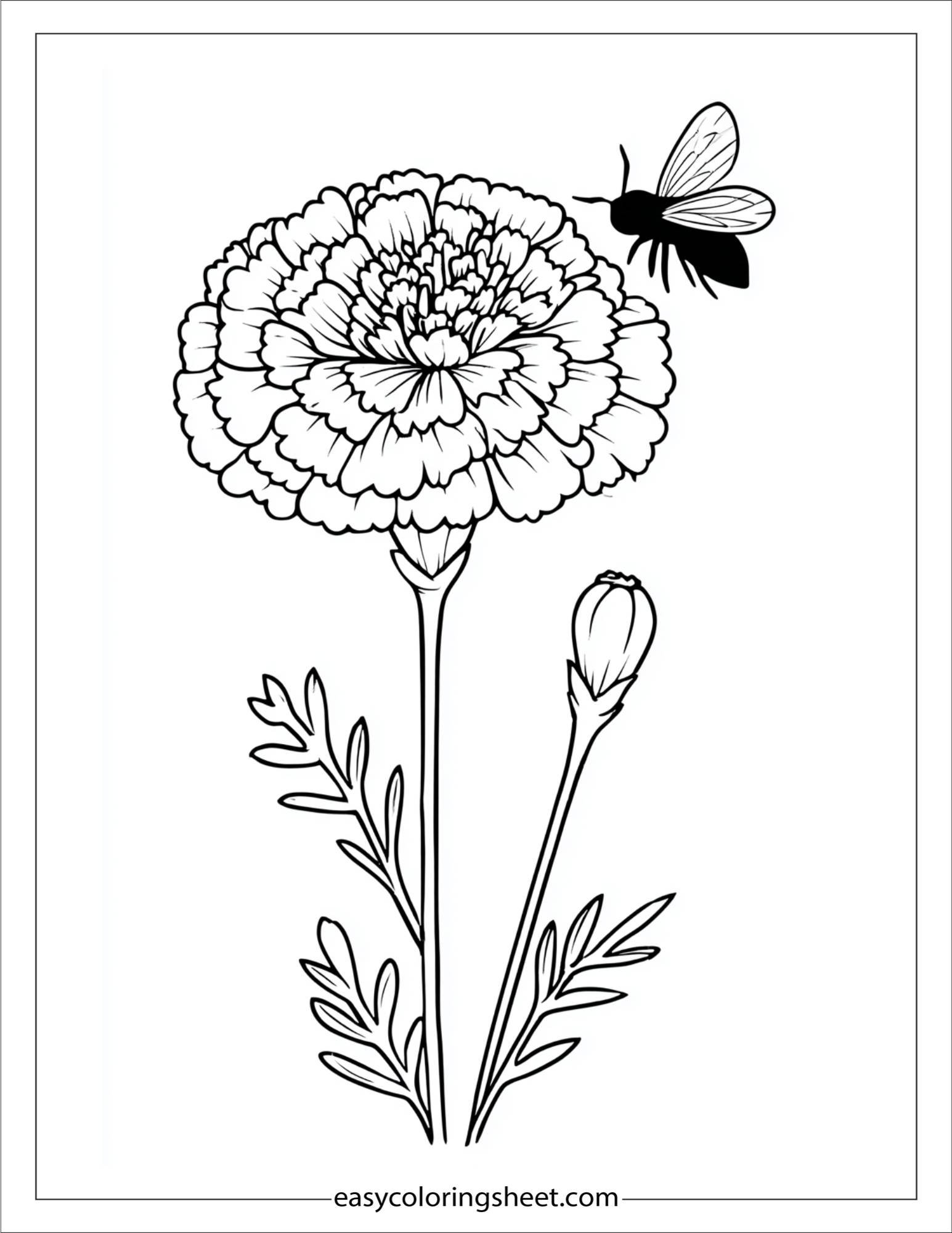 Marigold with tiny bee