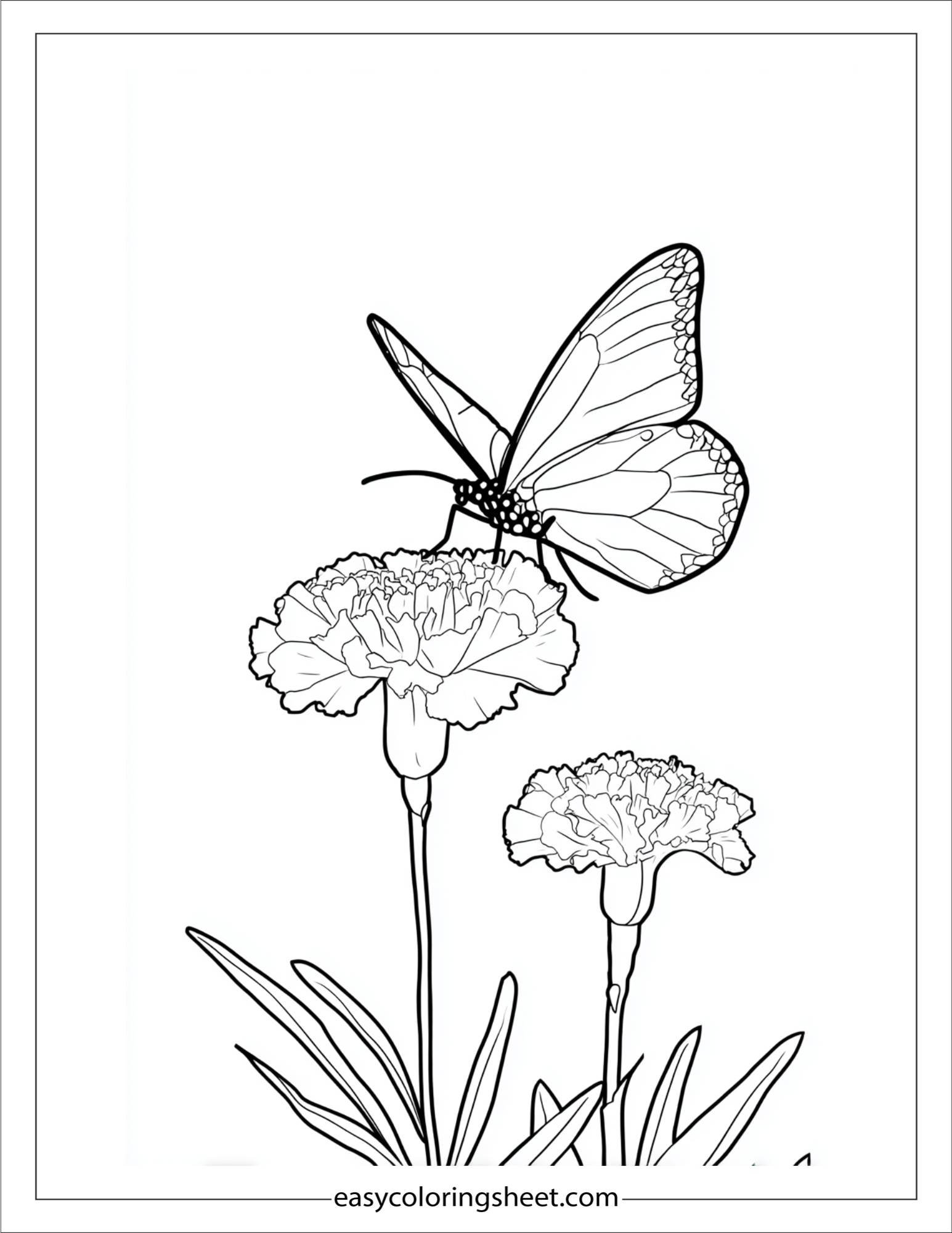 Marigold with tiny butterfly