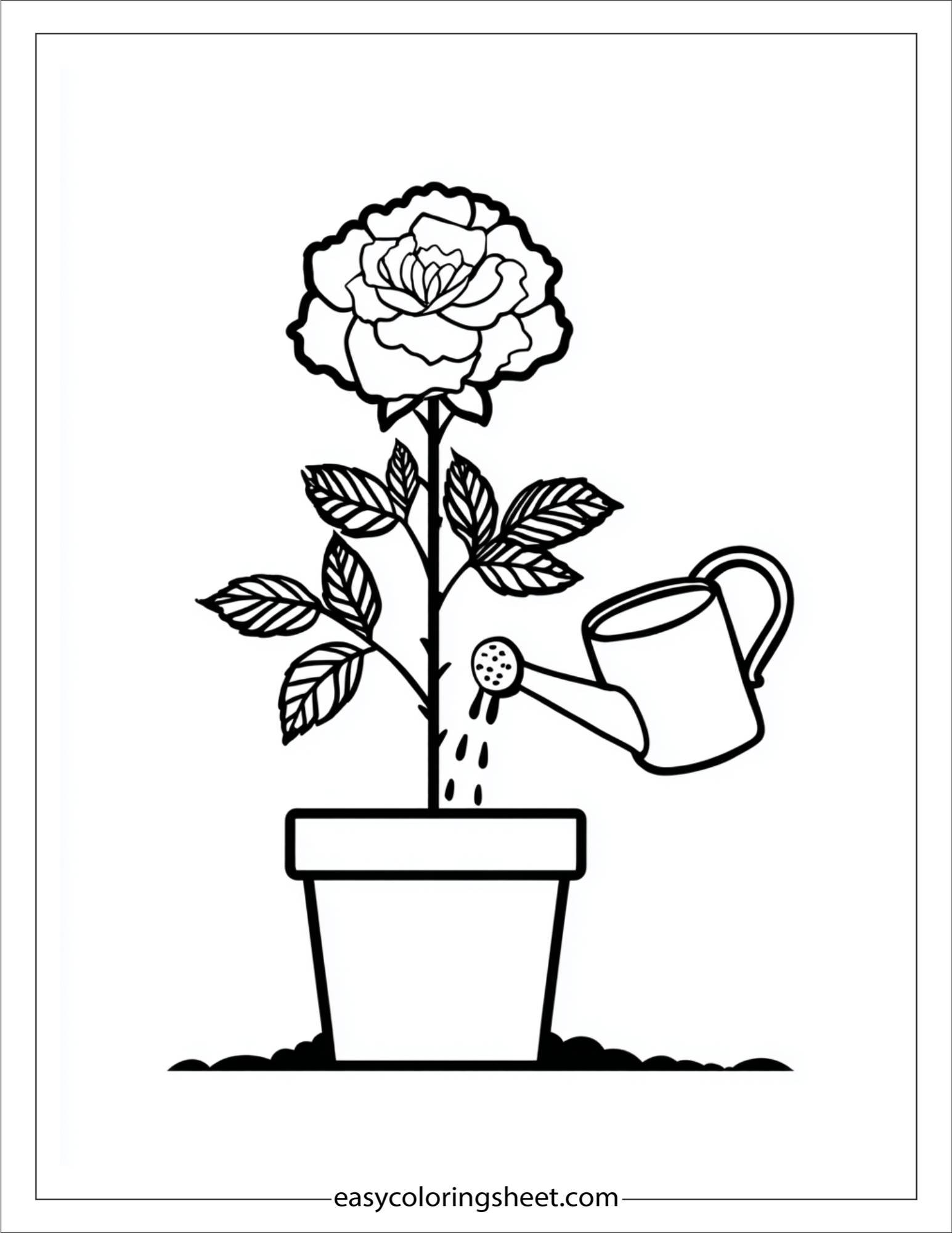 Rose Watering a Plant