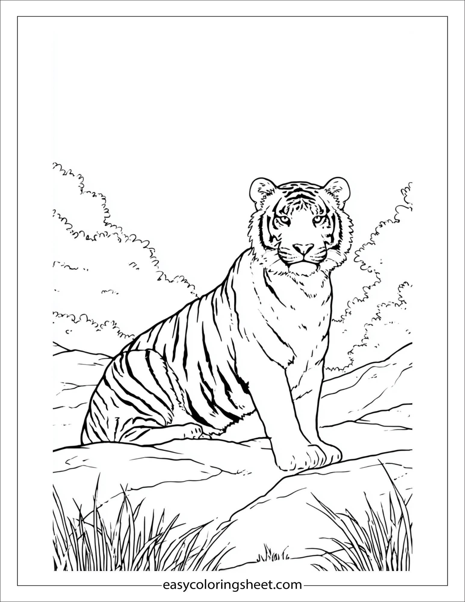 Sher Khan, the tiger, curious expression