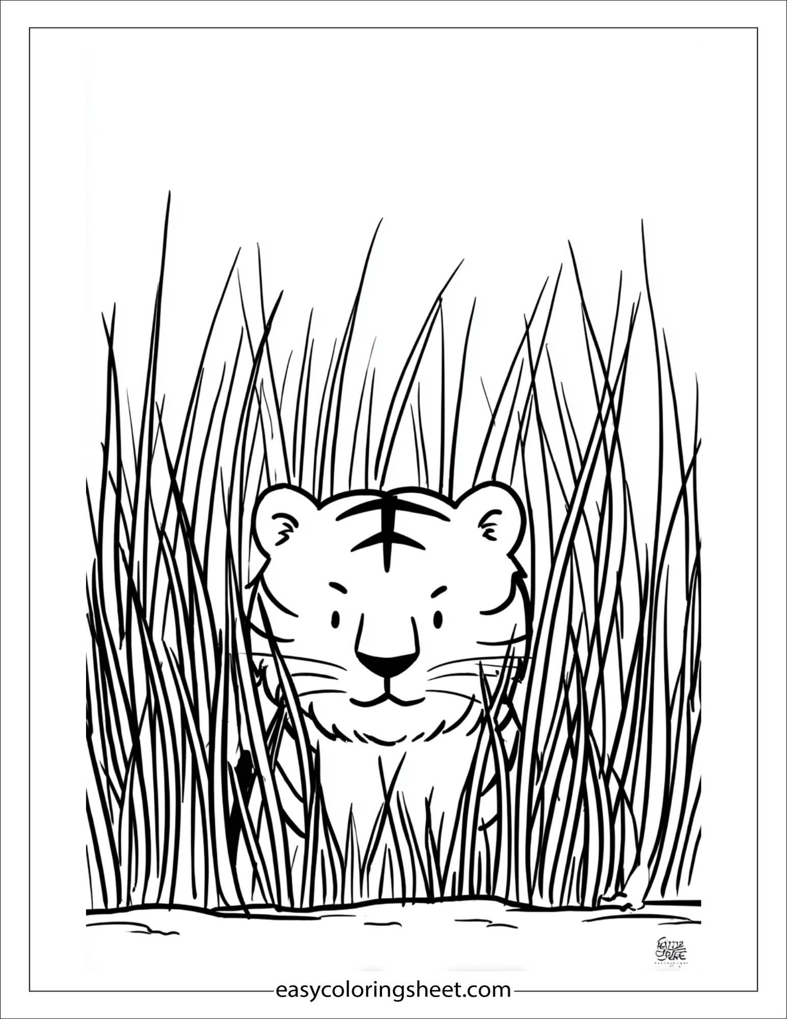 Sher Khan, the tiger, hiding in tall grass